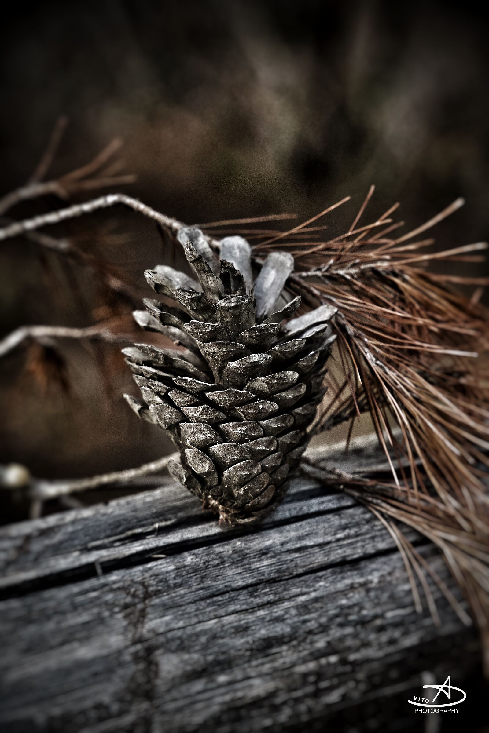 Dry pine...