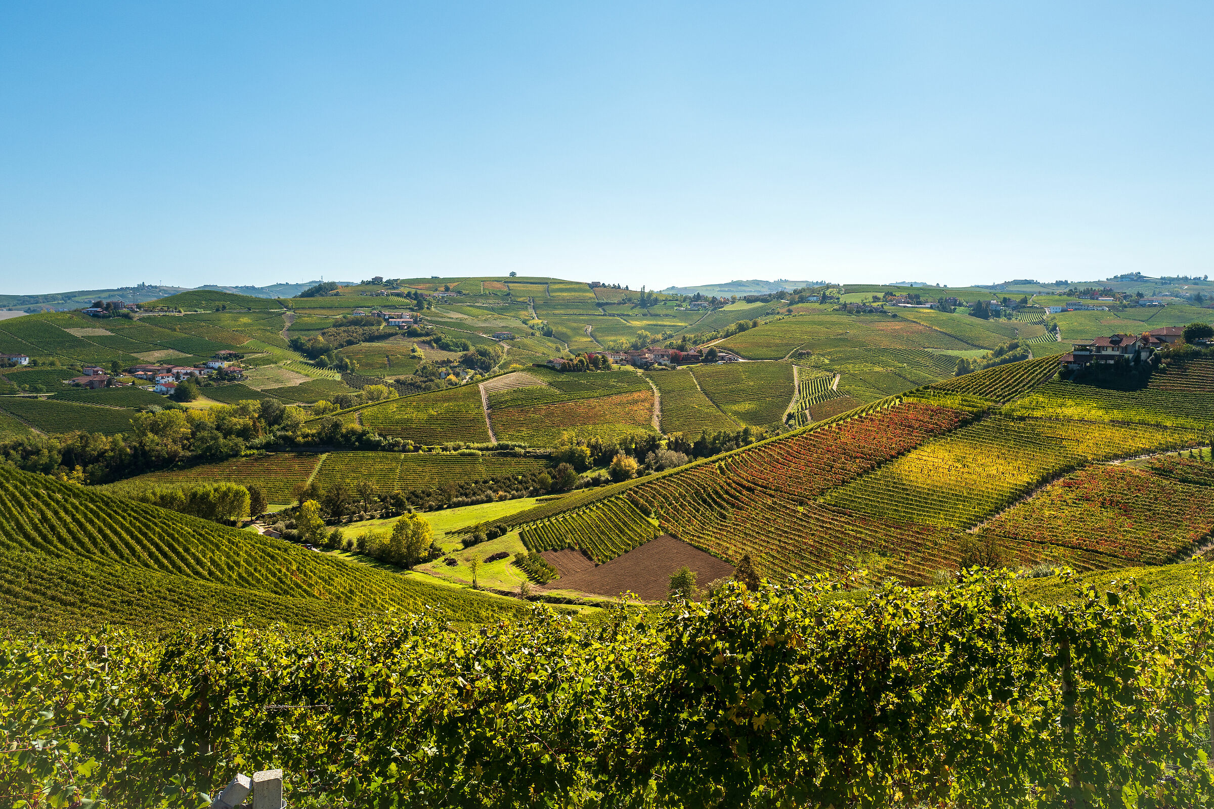 The Langhe...