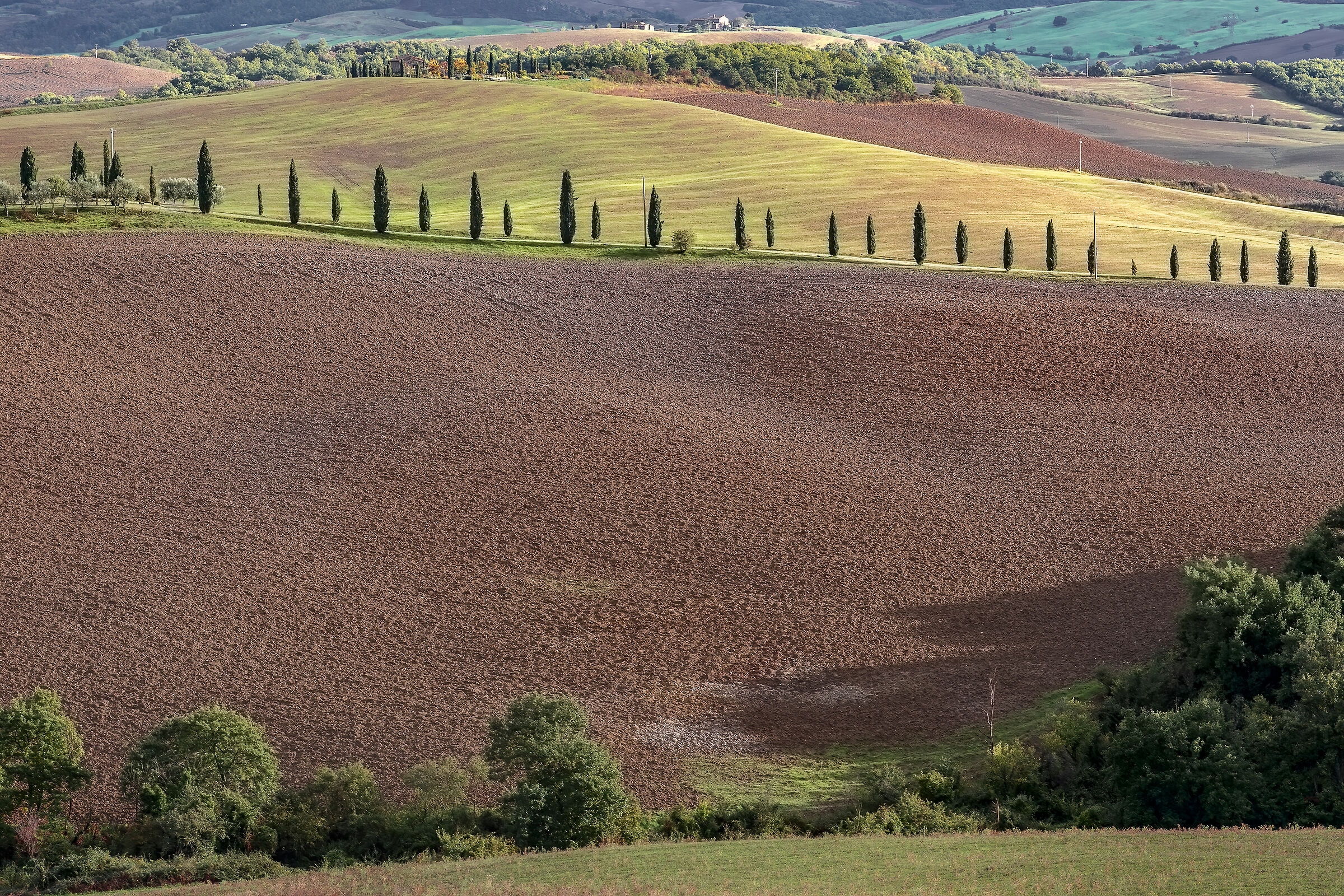 high orcia valley under rootings(yes)...
