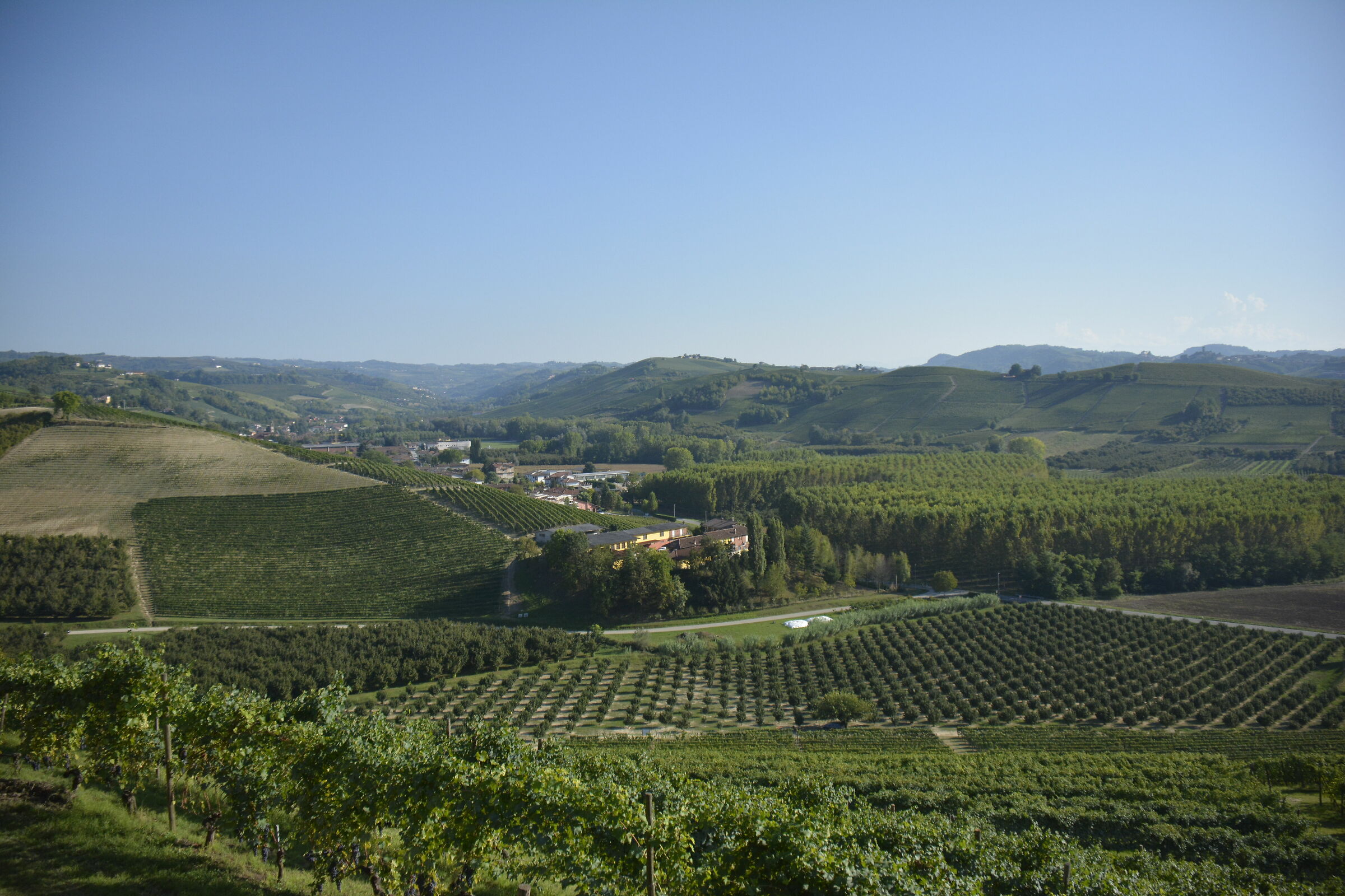 Langhe and vineyards...