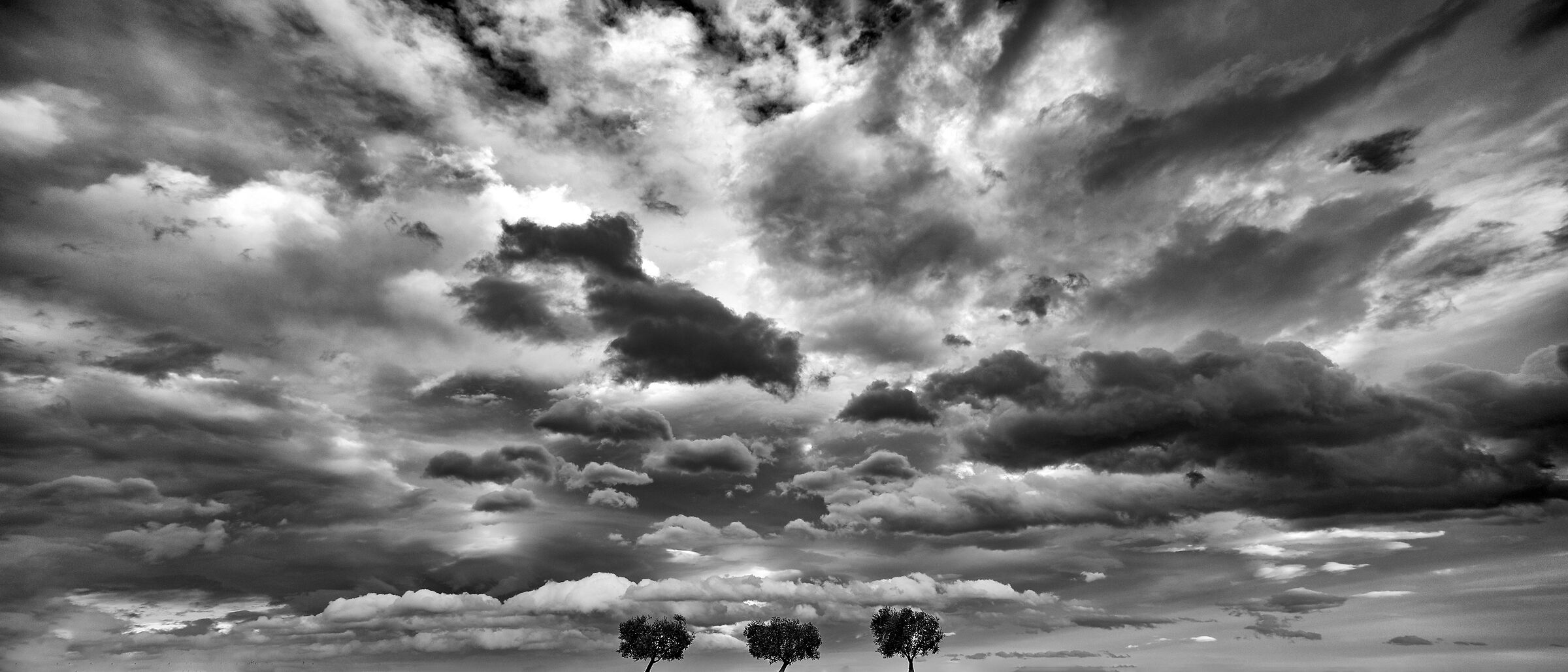 Olive trees and clouds...