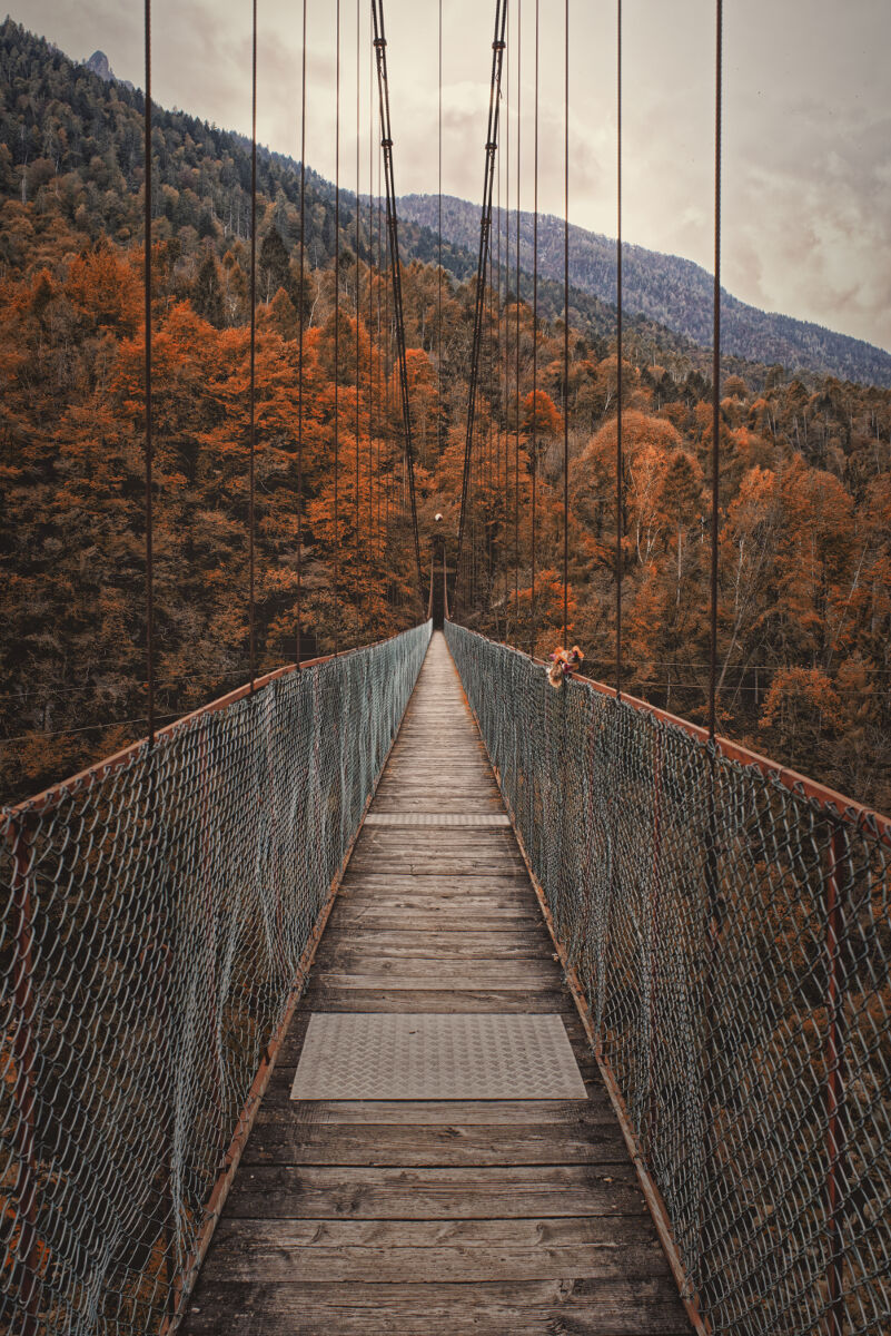 A bridge to autumn...