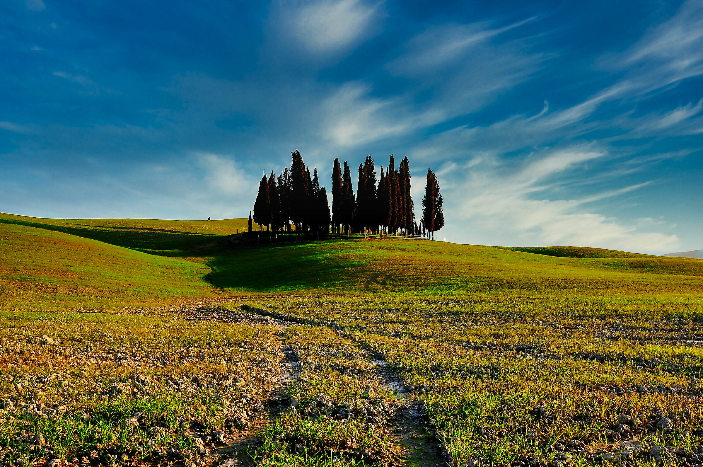 Beautiful Val D'Orcia...