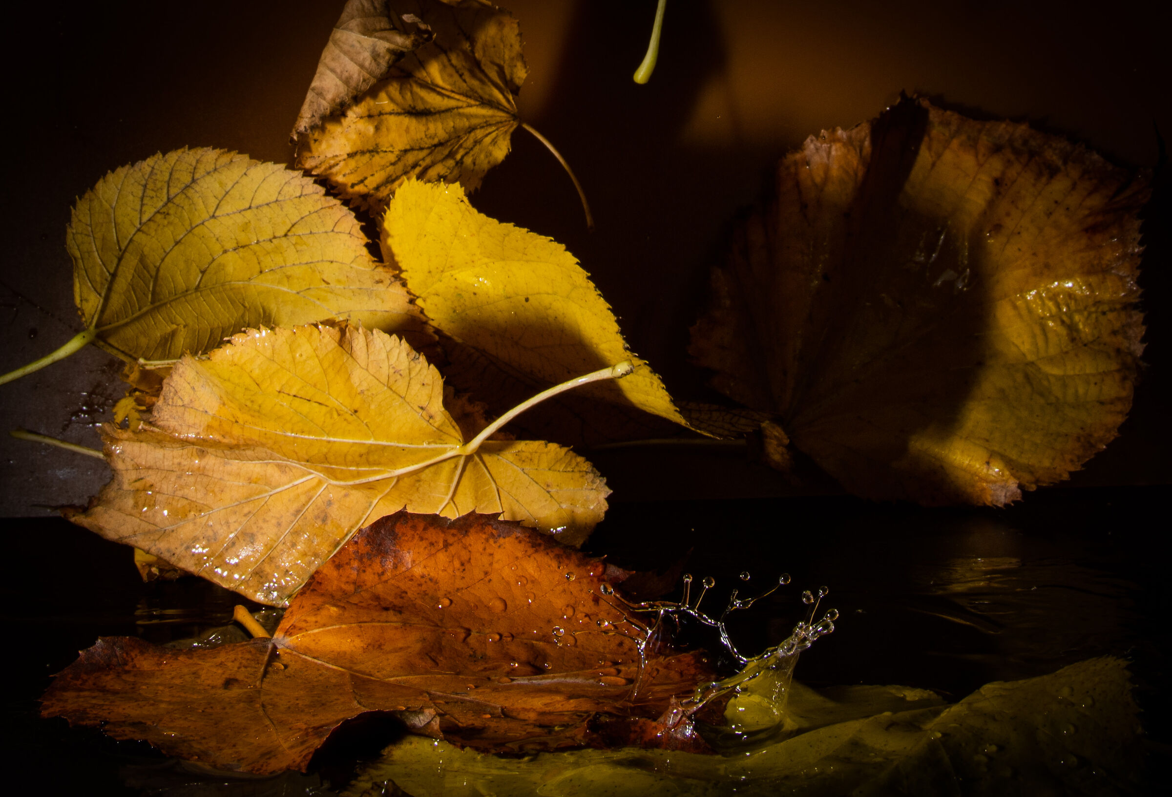 autumn with splash.......