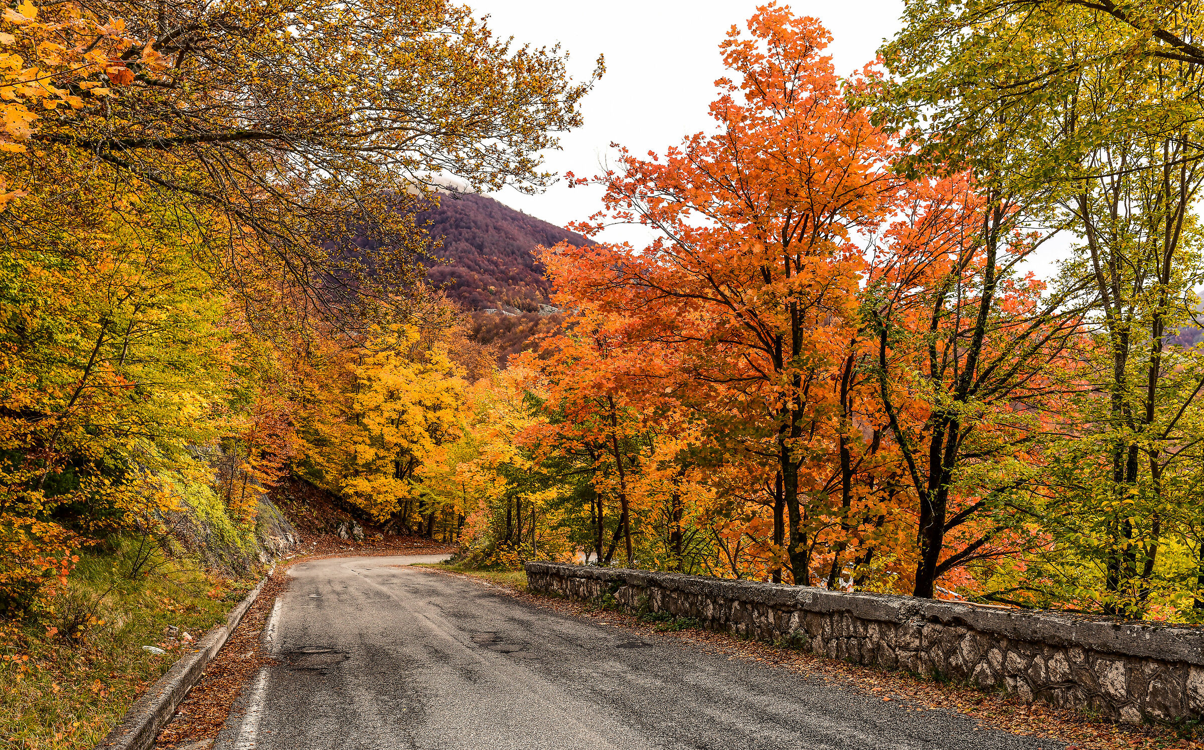 Parco nazionale d'Abruzzo-Autunno 2020...