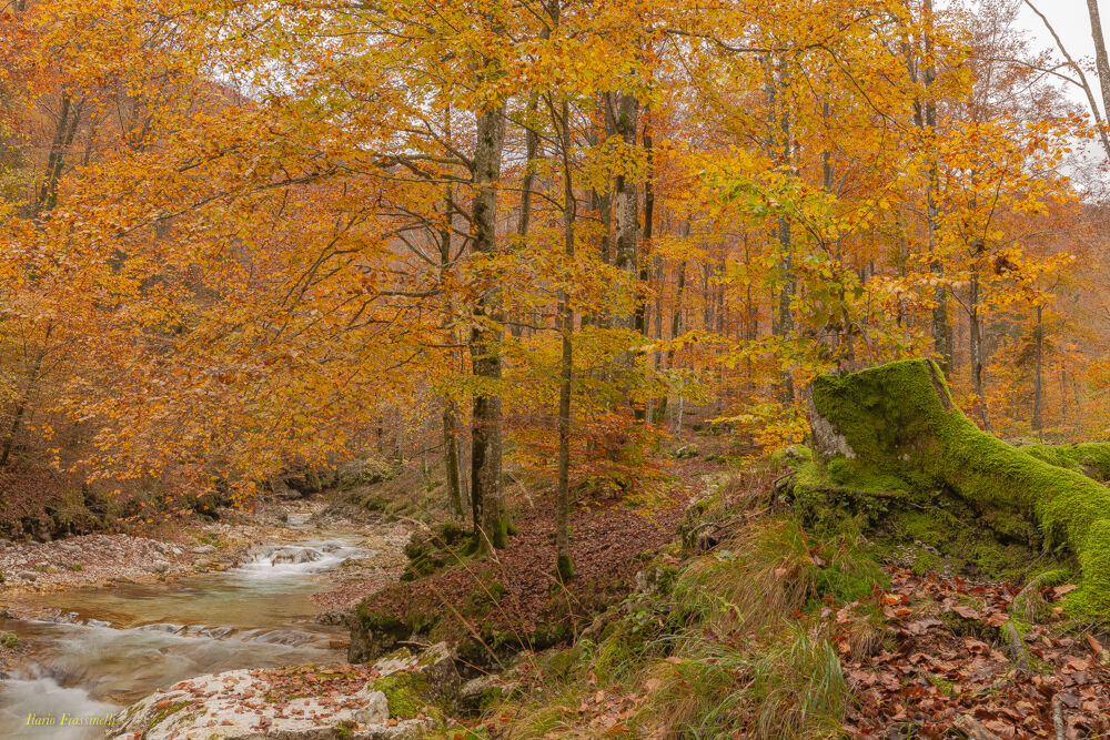 Colorful autumn in Val d'Arzino...