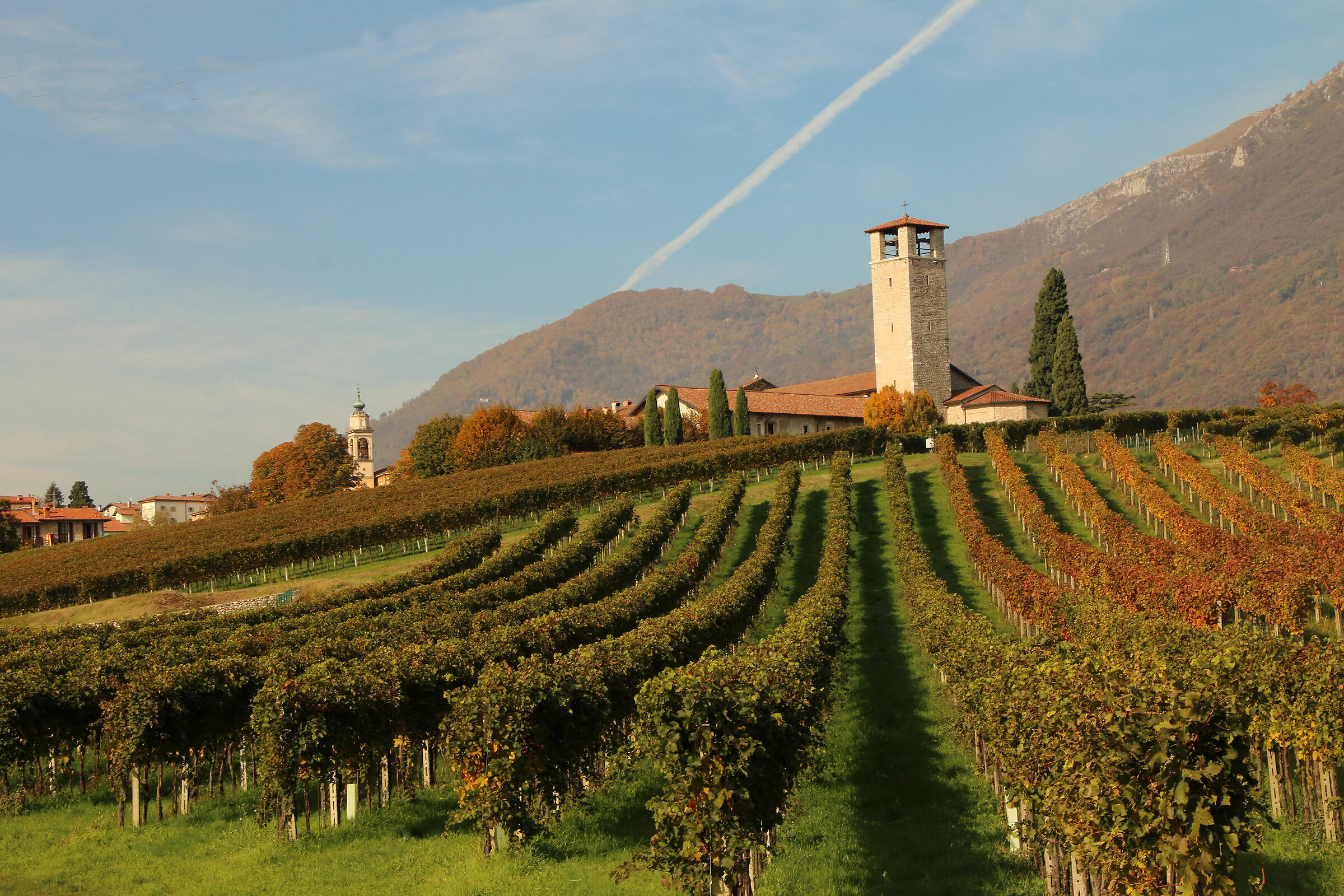 the vineyards of Almenno...