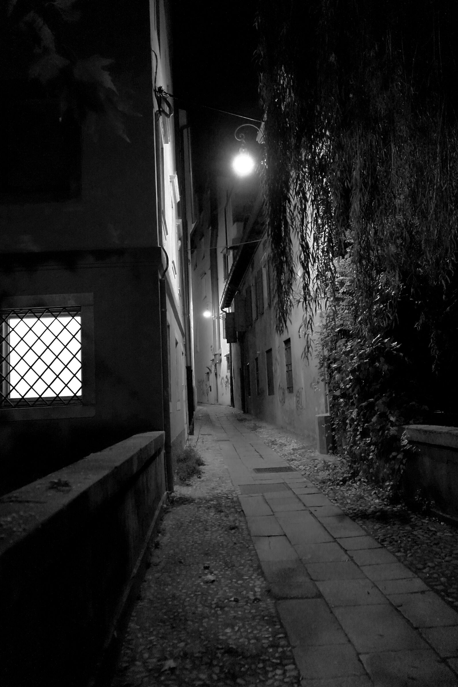Brovedan Alley...