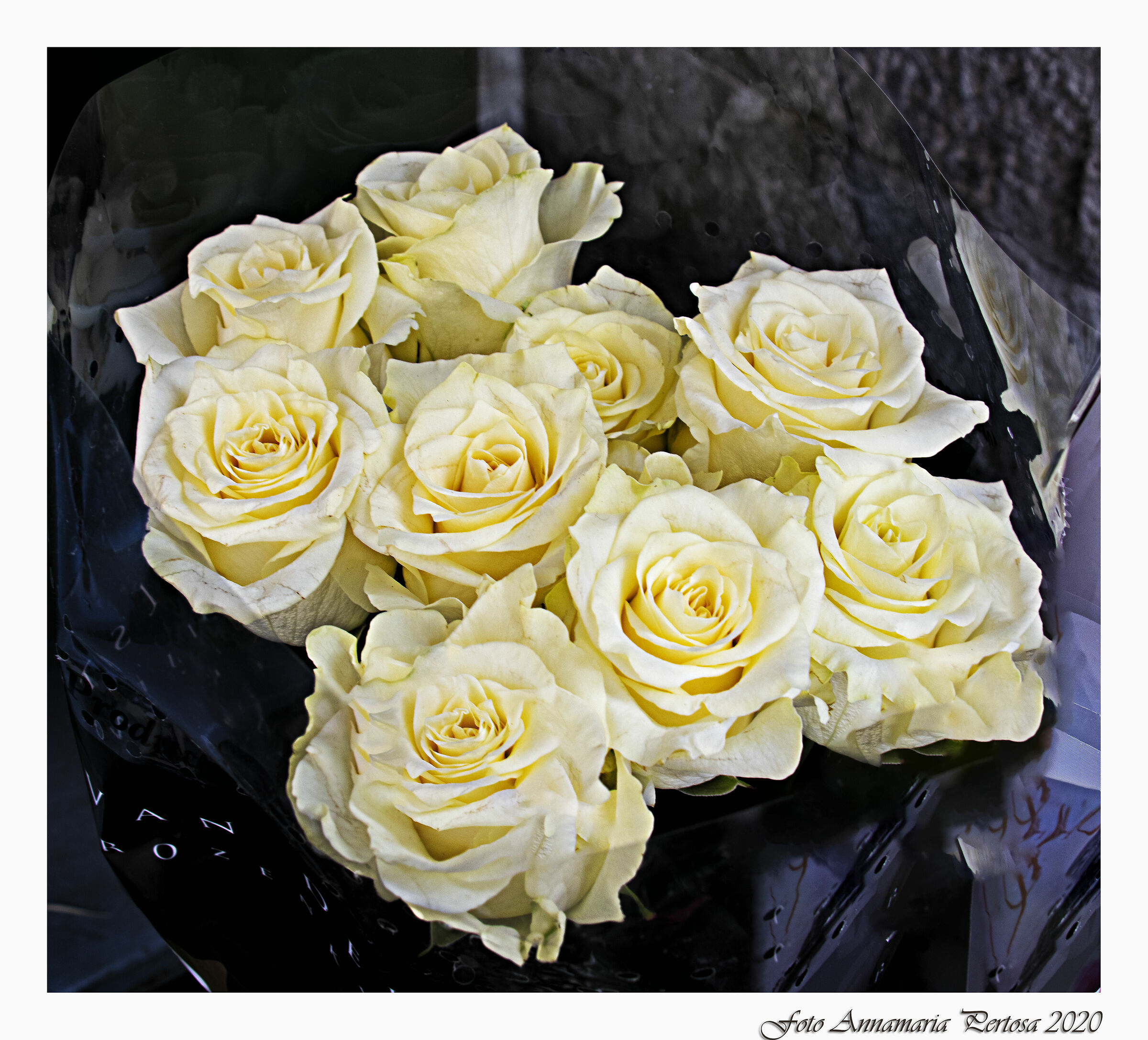 Ciao Gigi con le rose bianche che tanto amavi...