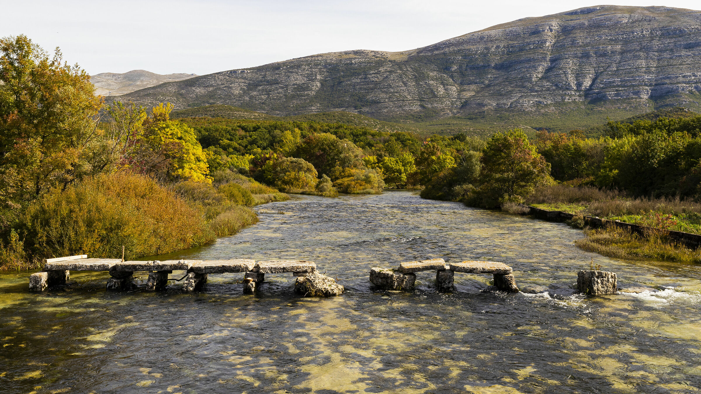 Ponte di pietra medioevale sul fiume Cetina...