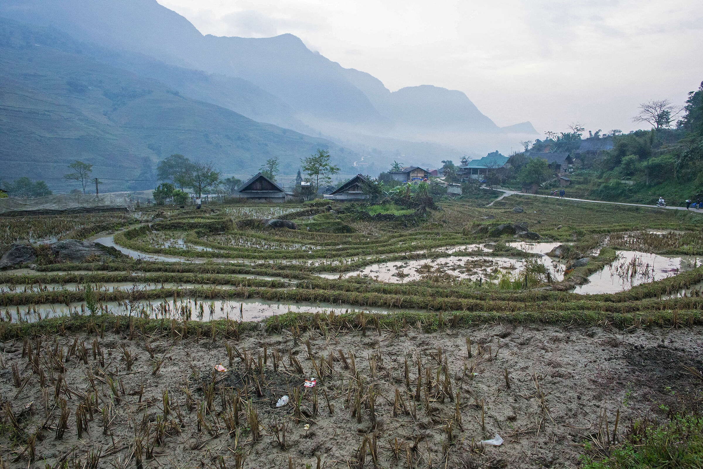 terrazzamenti di riso in Vietnam del Nord...