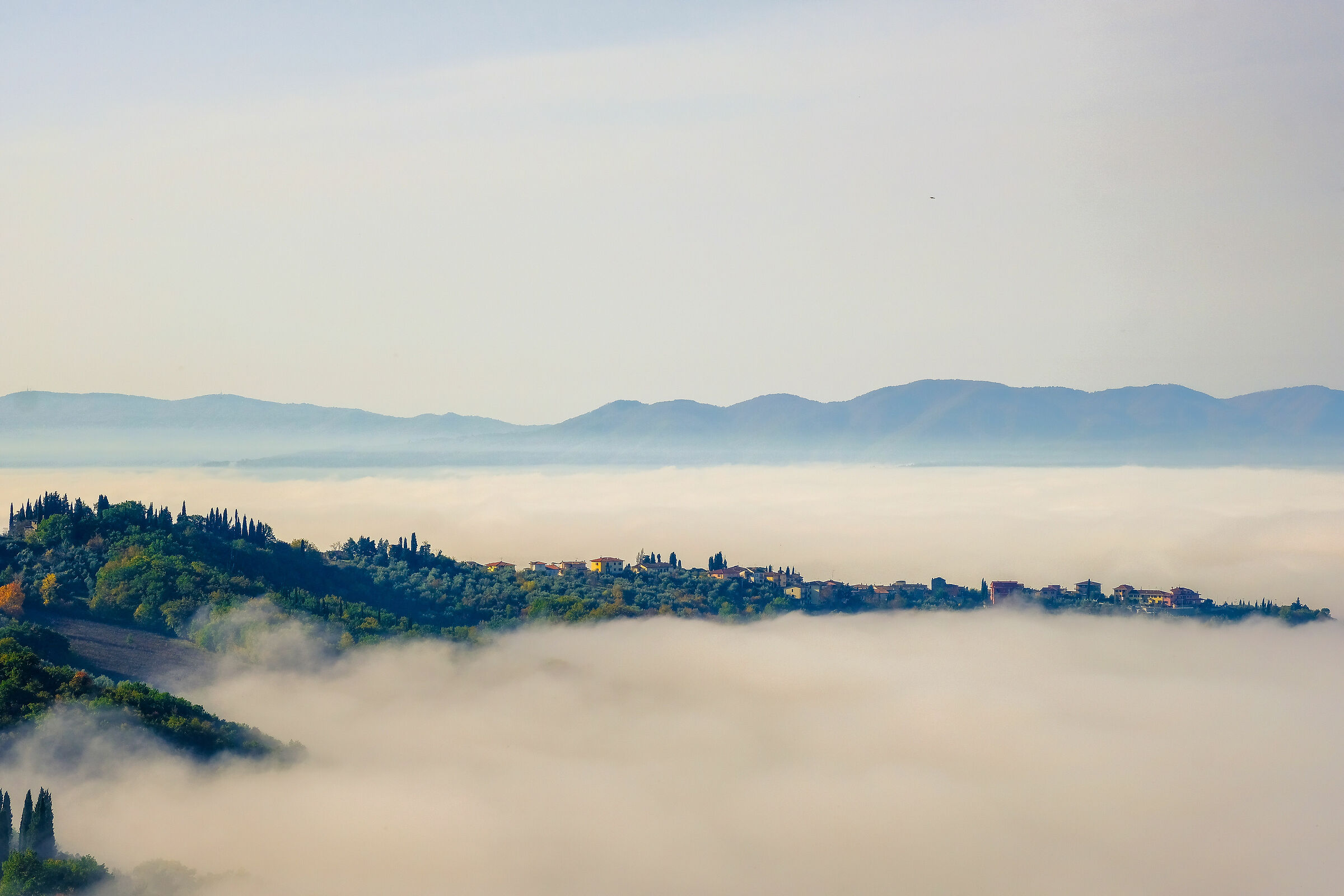 Fog in Val di Sieve (FI)...