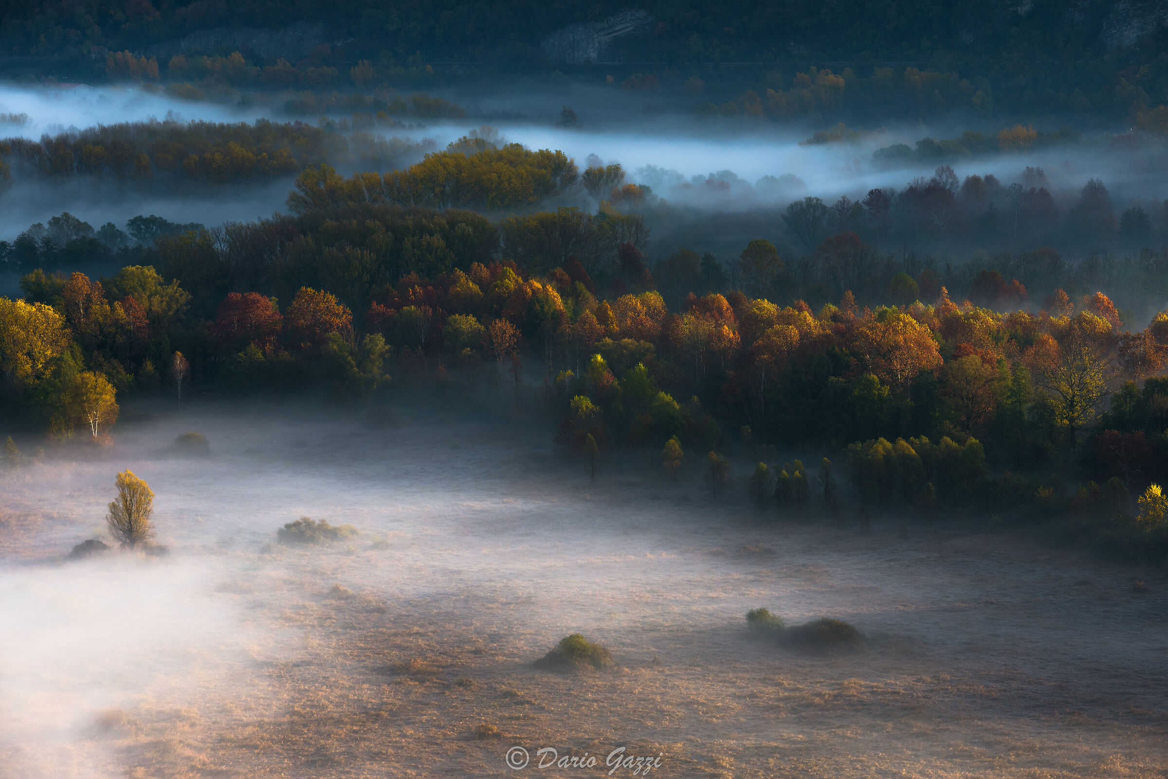 The Autumn & the Mist...