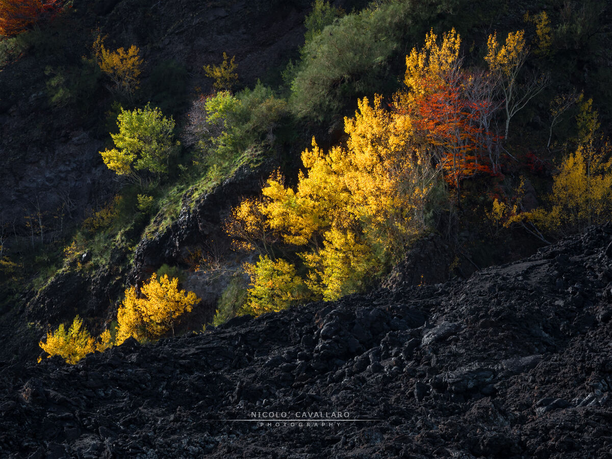 Etna - Autumn...