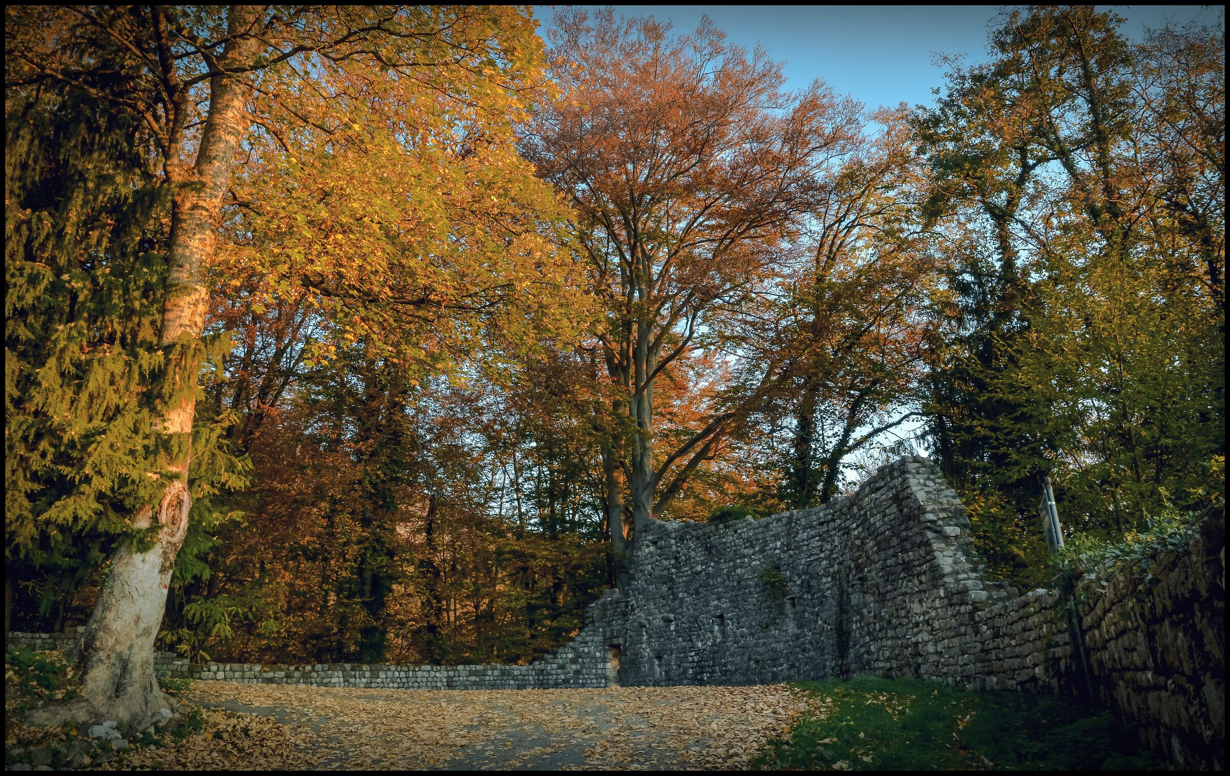 the old castle in autumn...
