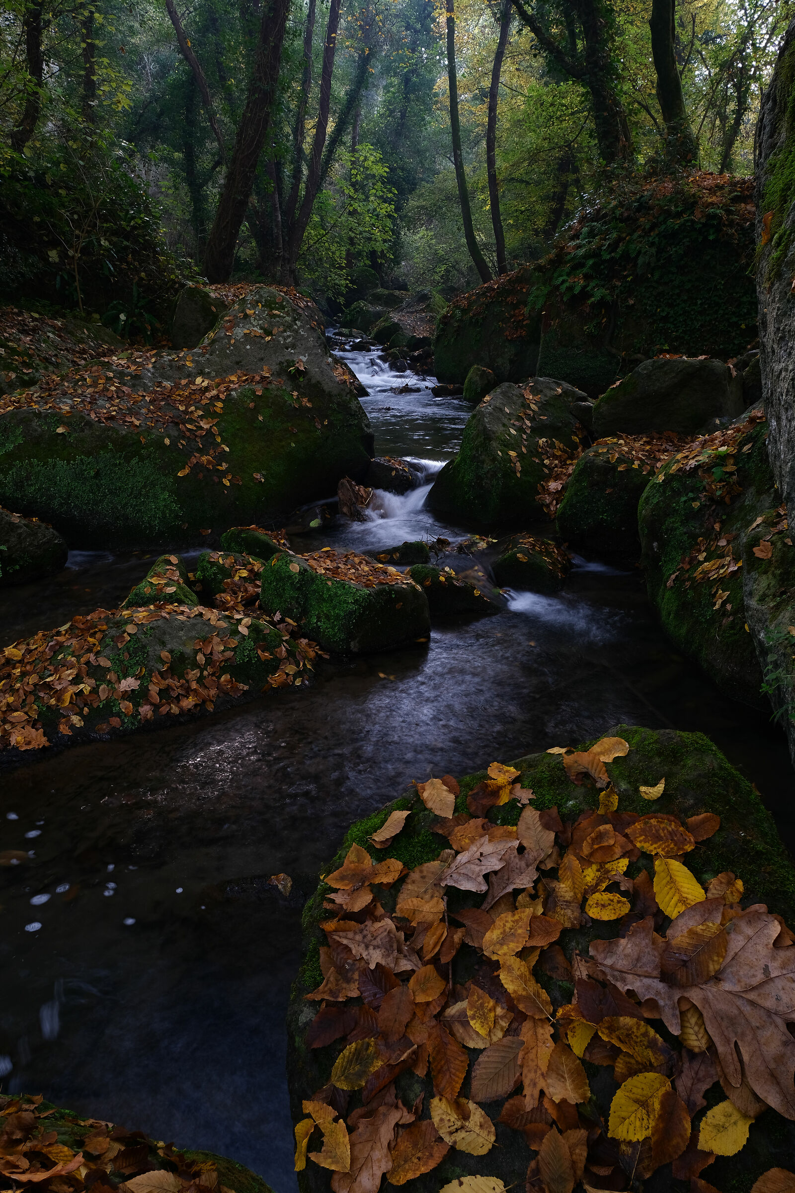 Cascate Monte Gelato il mio contributo al "foliage" :-)...