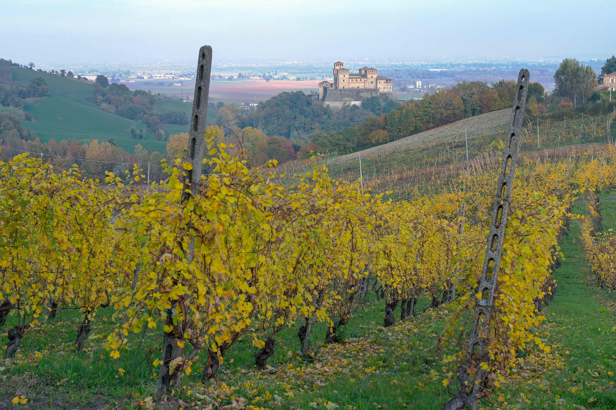 The castle of Torrechiara among the vineyards...