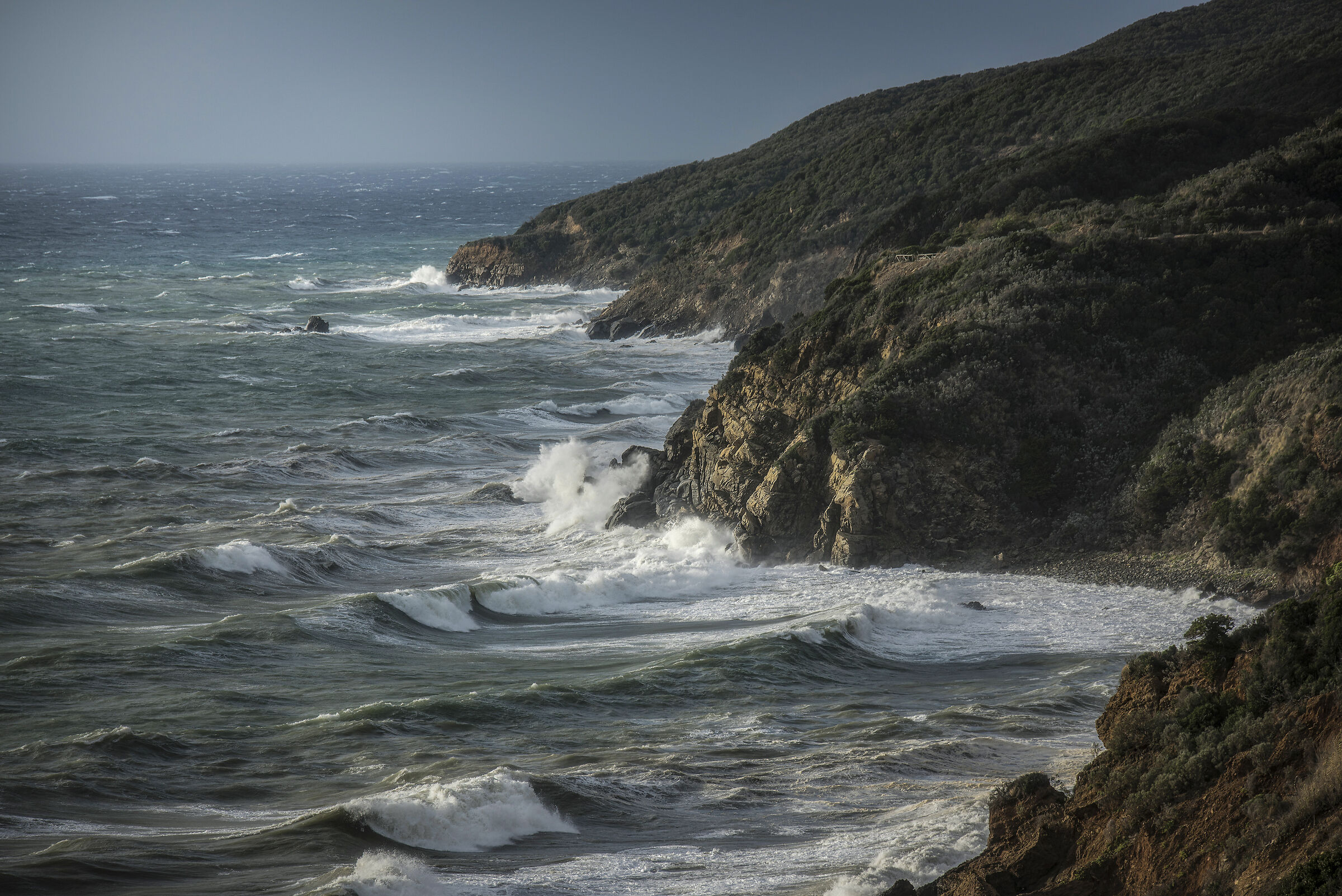 Tempesta di vento sul litorale toscano...