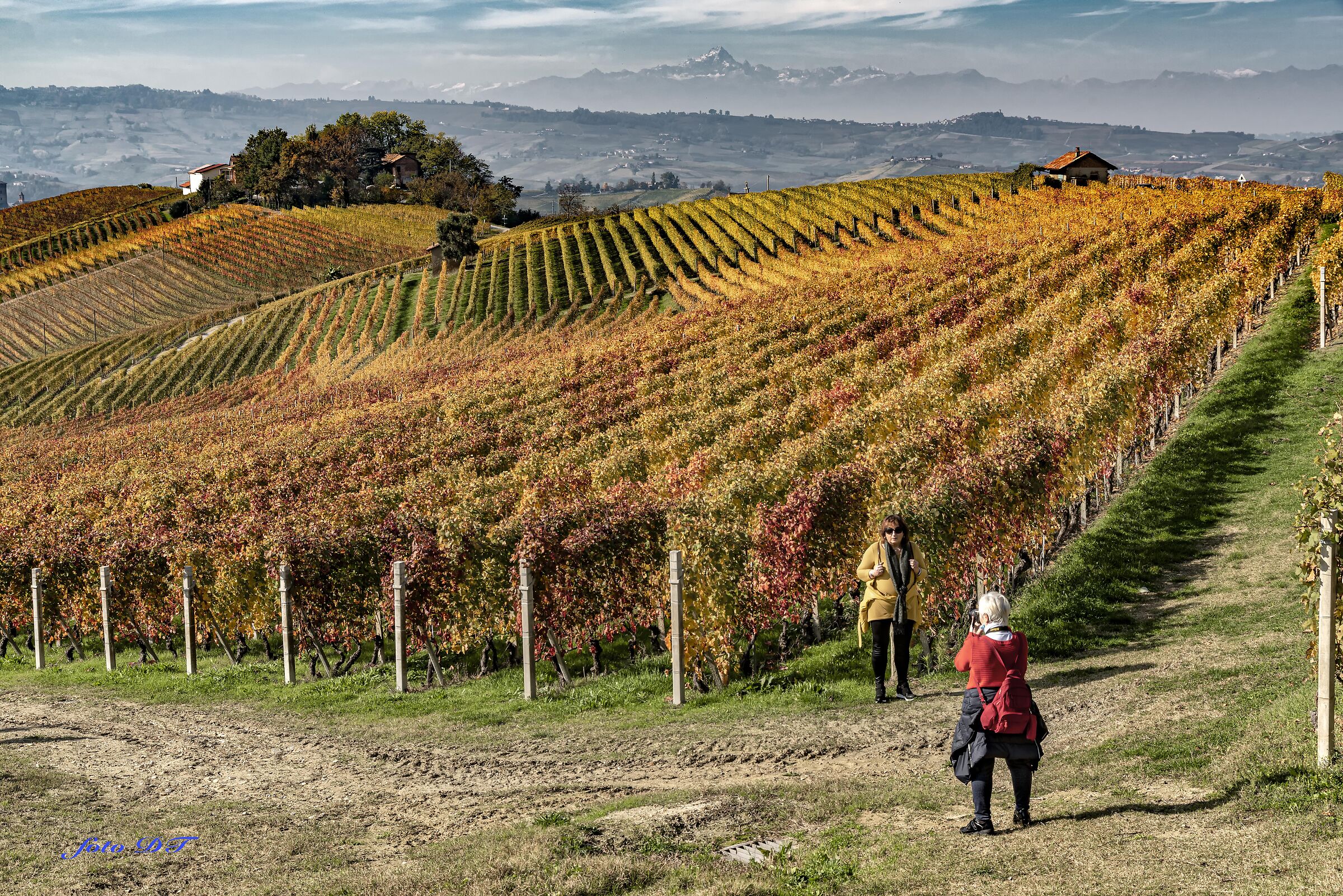 LANGHE CUNEESI AND THE COLORS OF AUTUMN...