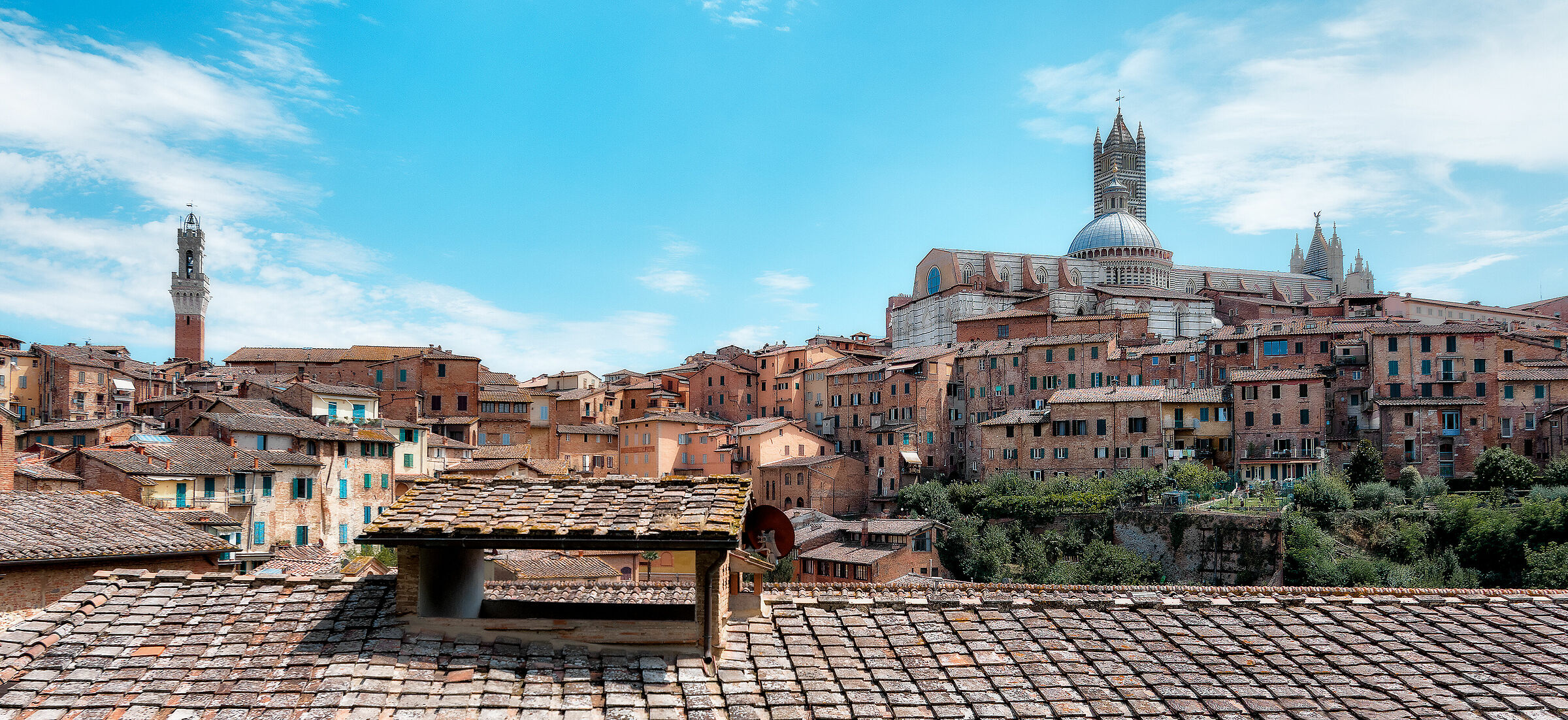 Siena from the Roof...