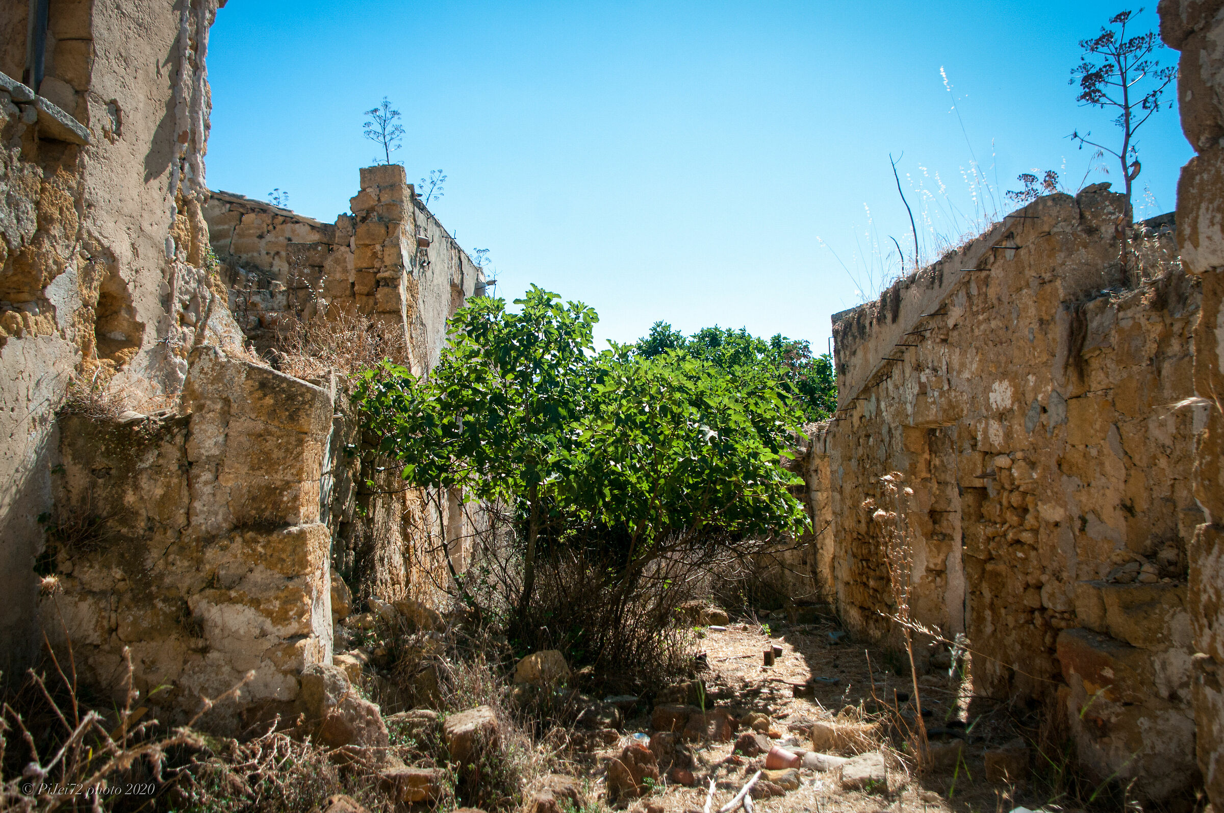 Santa Margherita in Belice - Ruins 11...