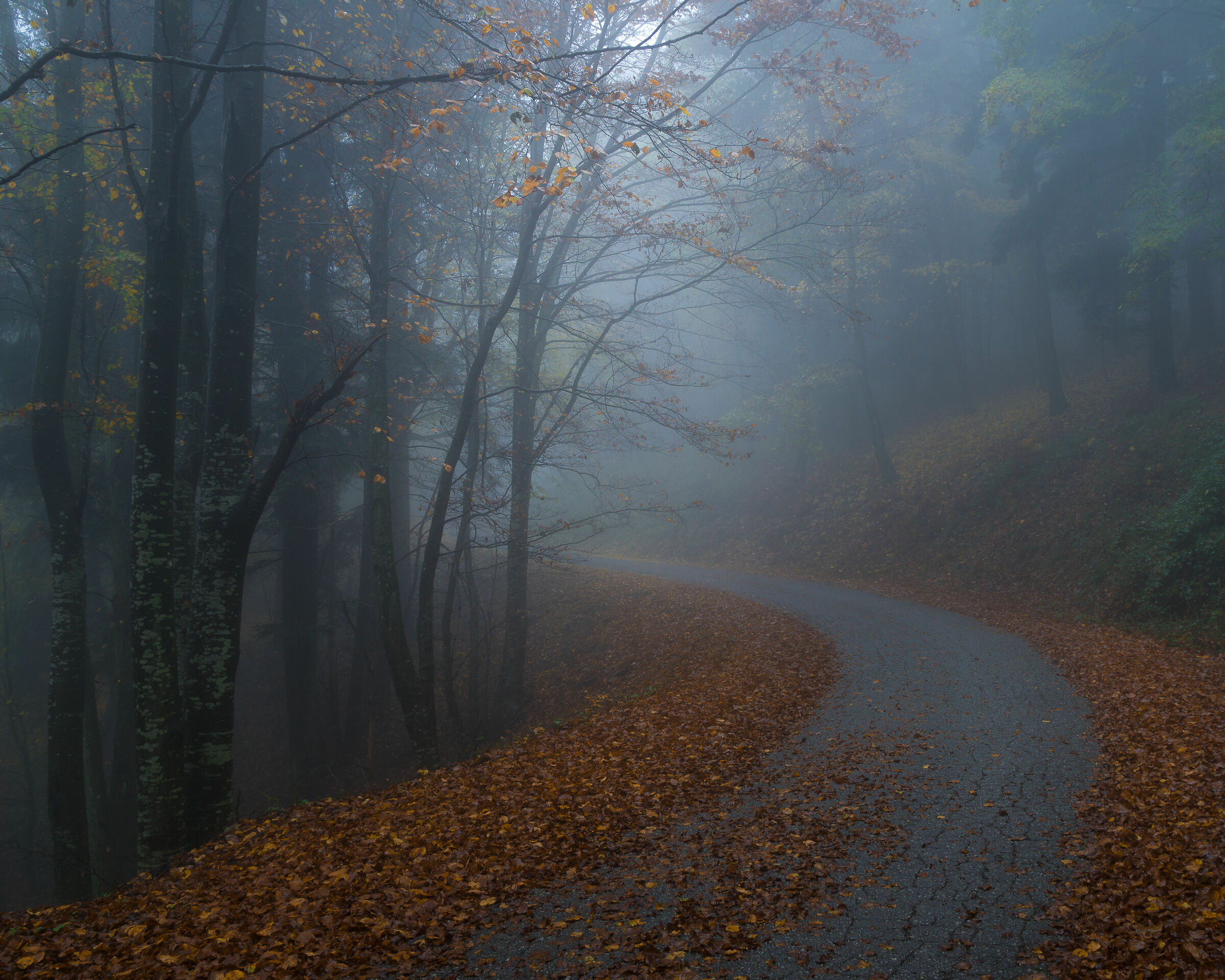 Road to nowhere...