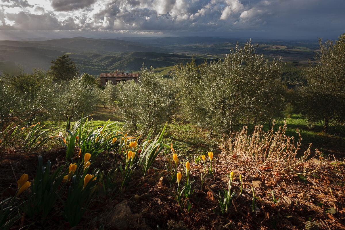 A Tuscan afternoon ......