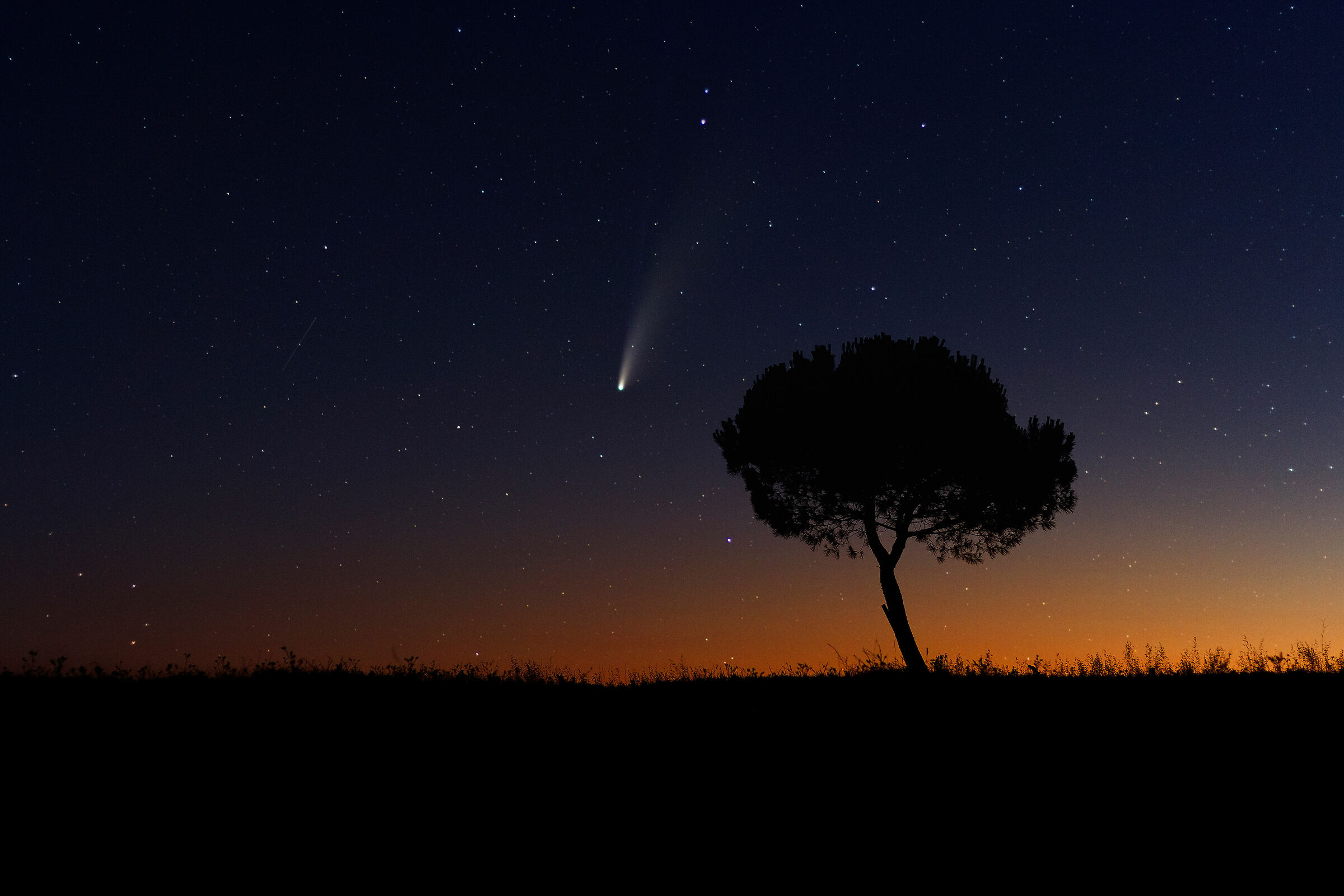 Comet Neowise in Maremma (19/07/2020)...