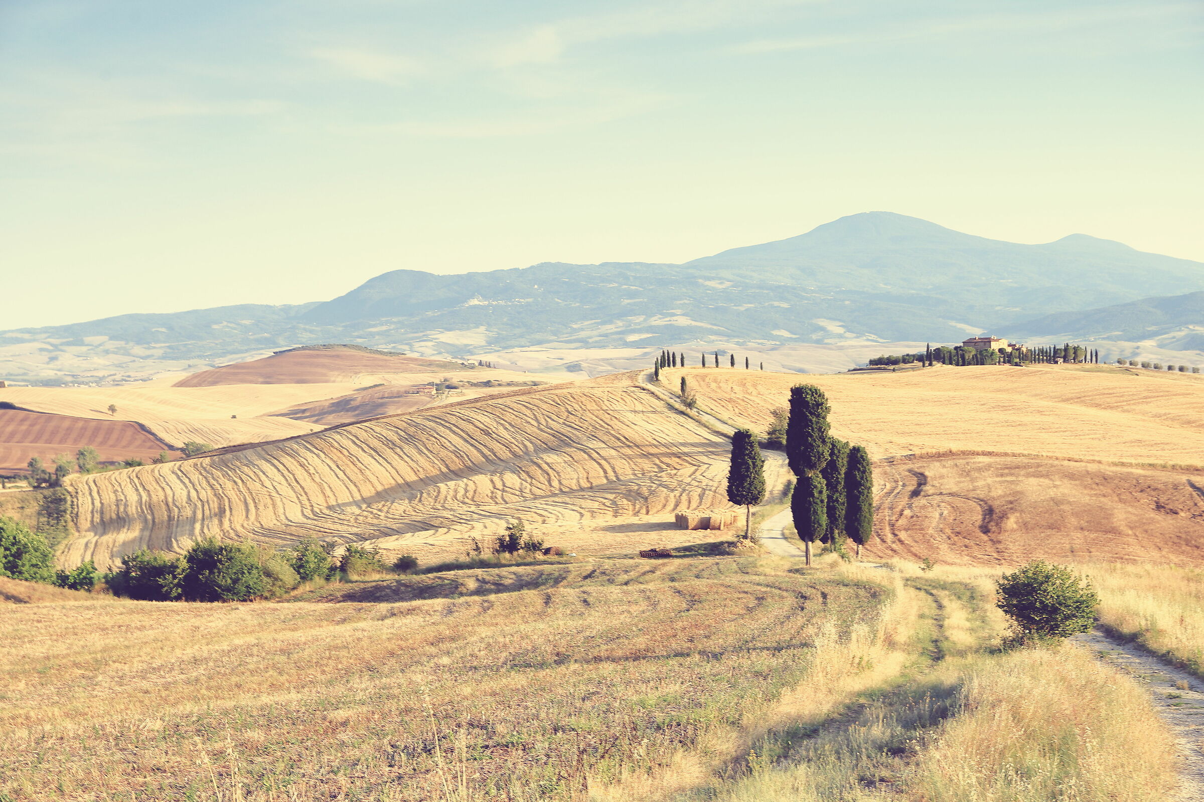 A Gladiator in Val d'Orcia...