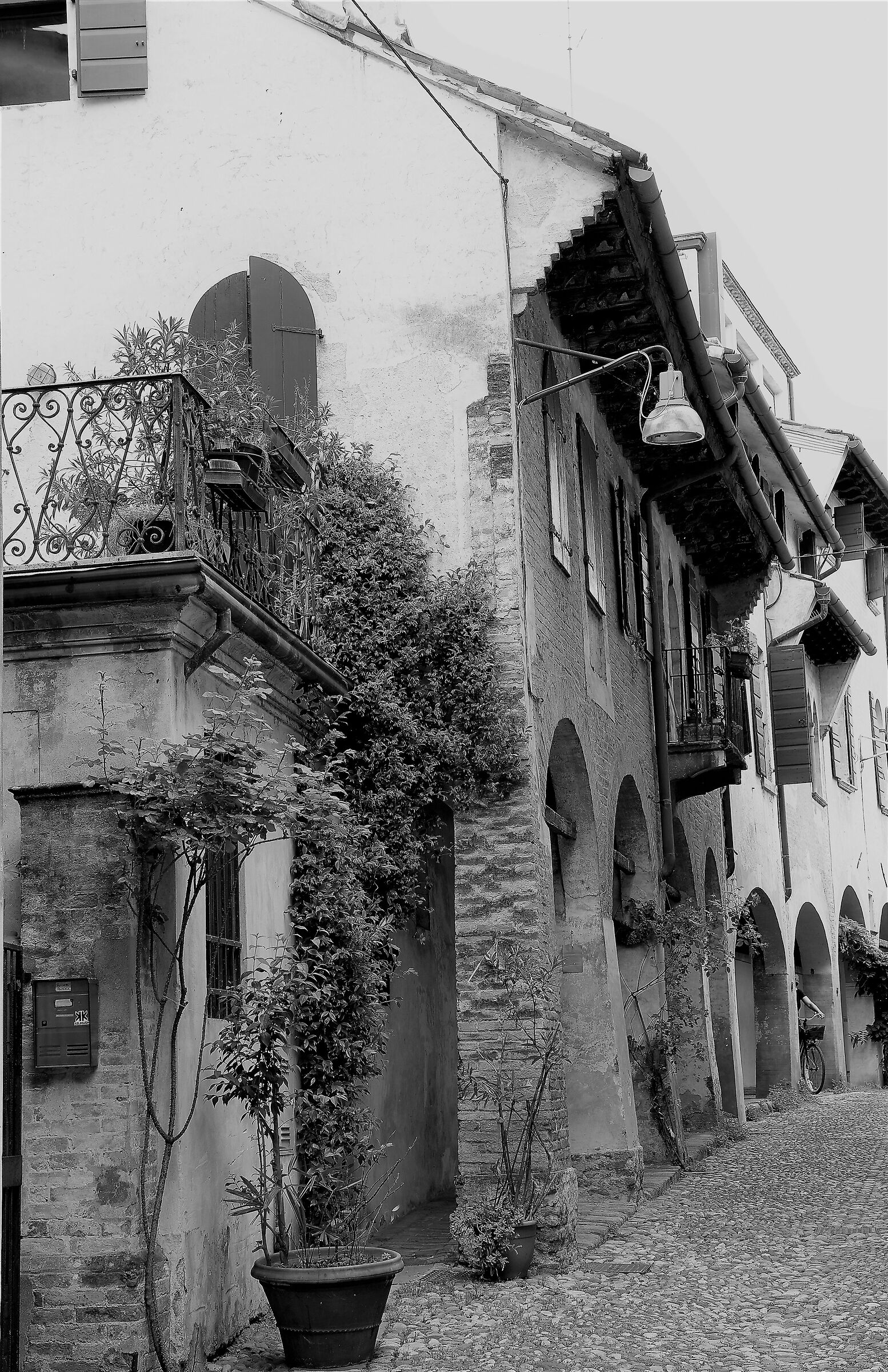 Treviso ...