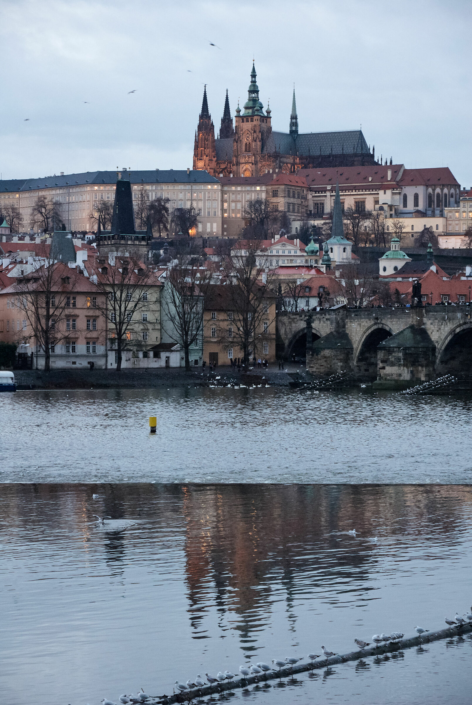 Praga - Cattedrale di San Vito...