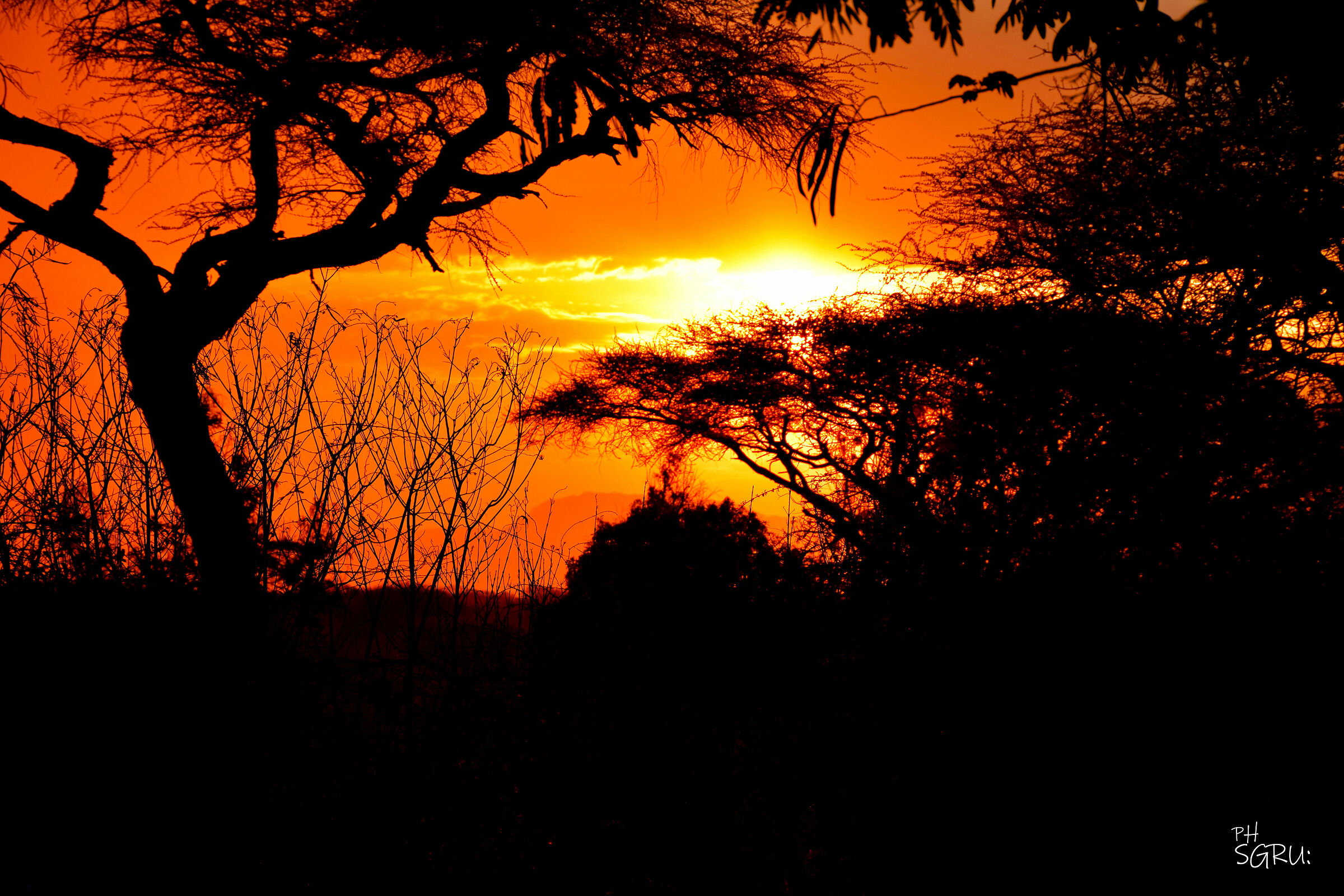 siluette di un tramonto africano...