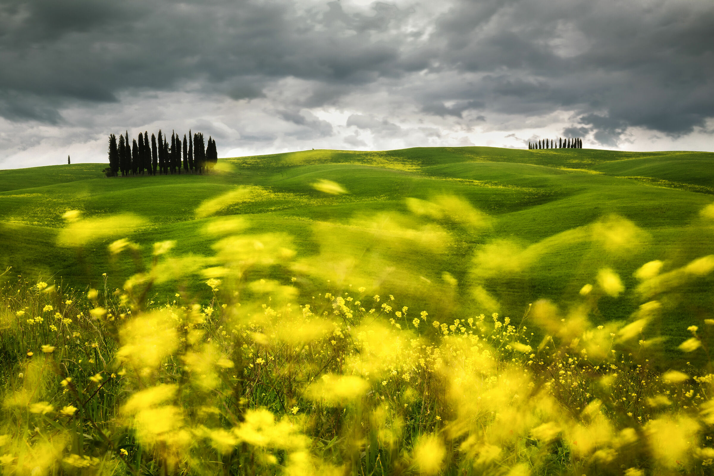 D'Orcia Valley...