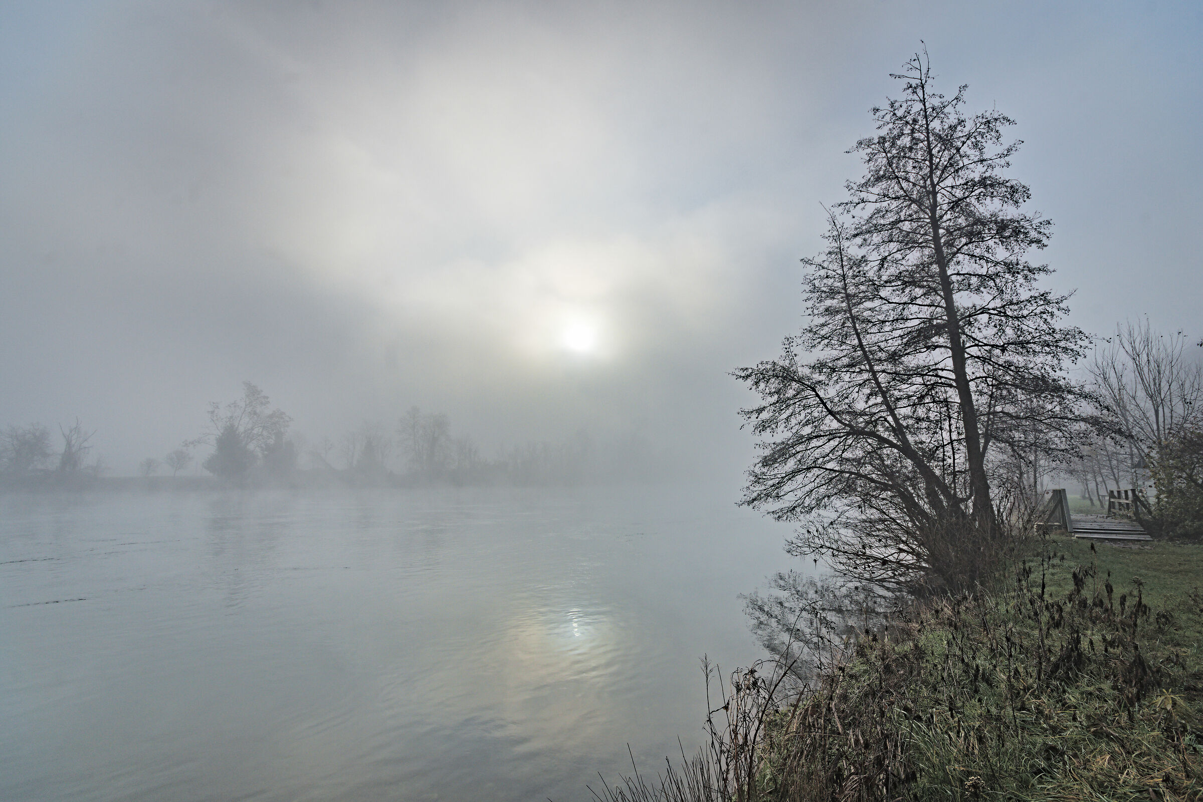 Misty River...