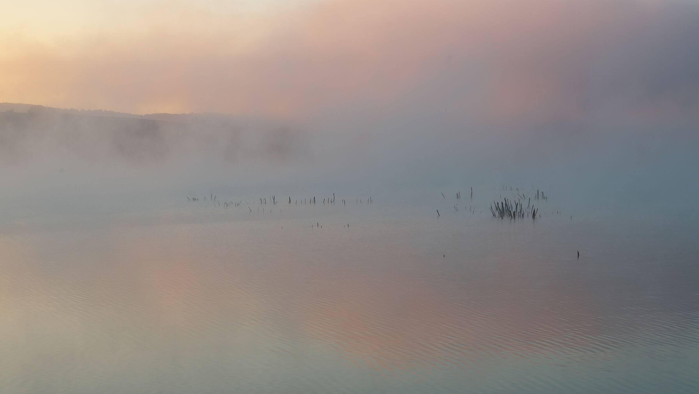 Pastel dawn on the lake...
