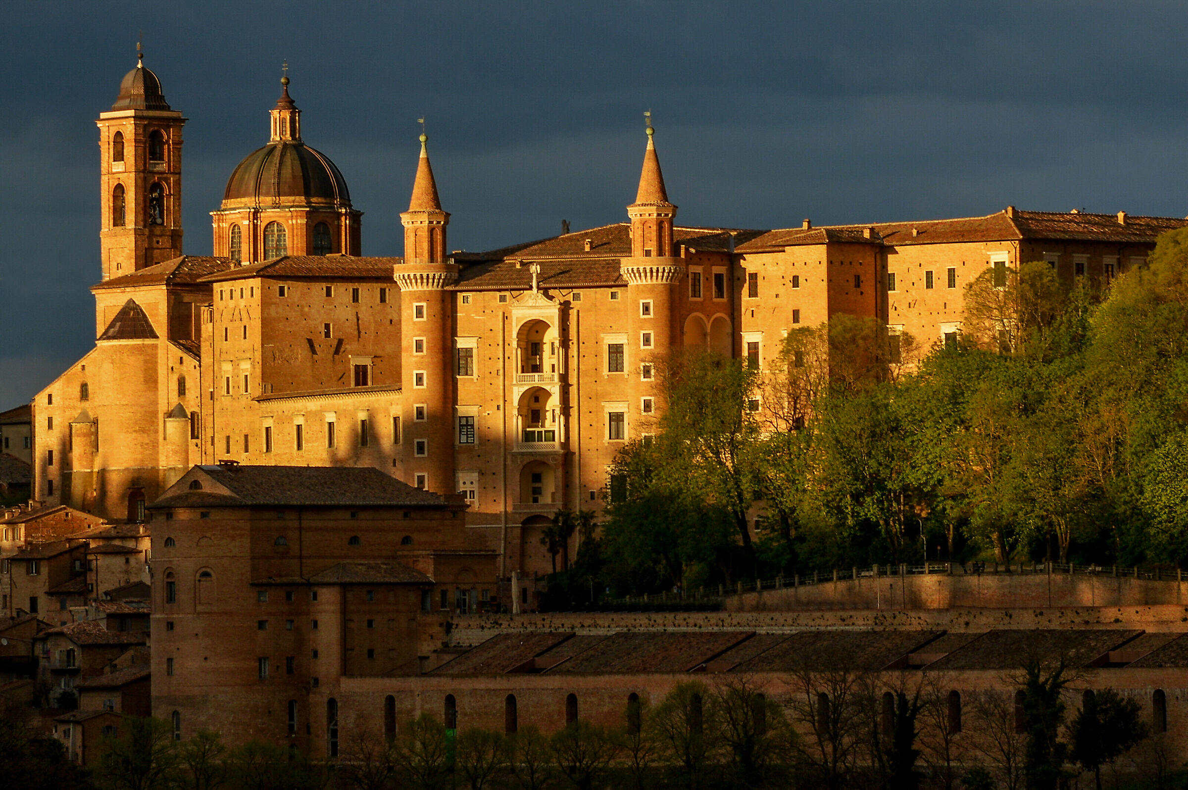 la luce di Urbino....
