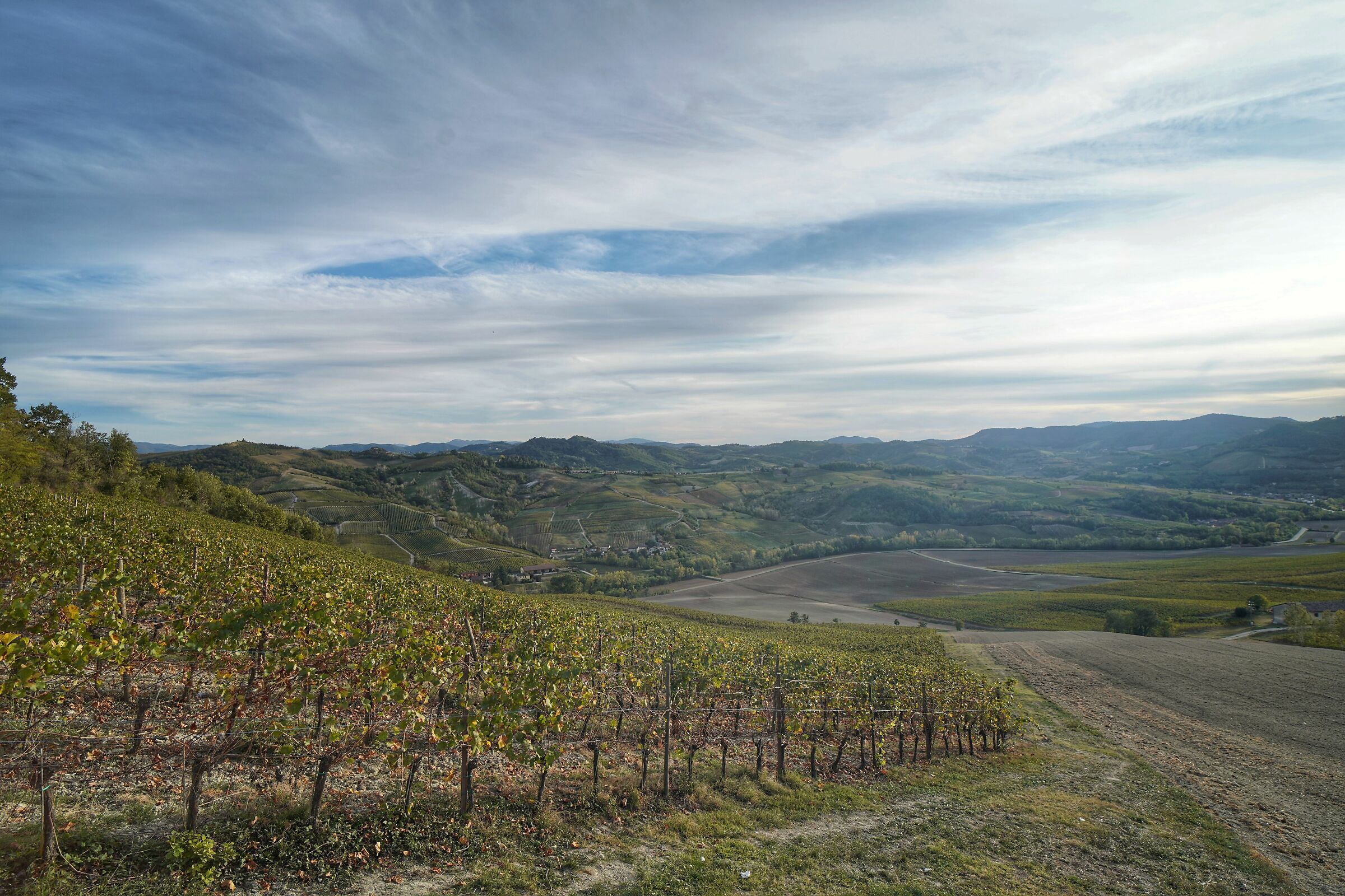 Autumn vineyards in Oltrepo'...