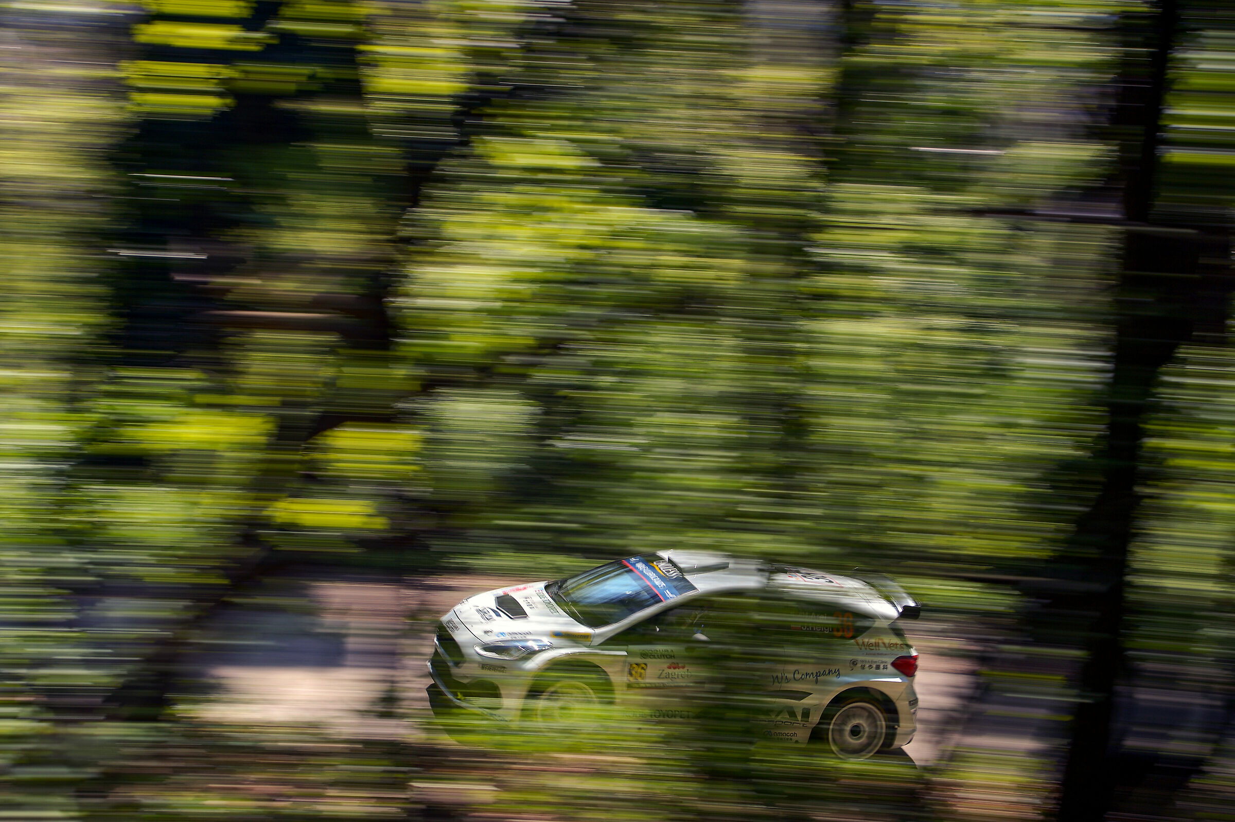 Panning through the leaves...