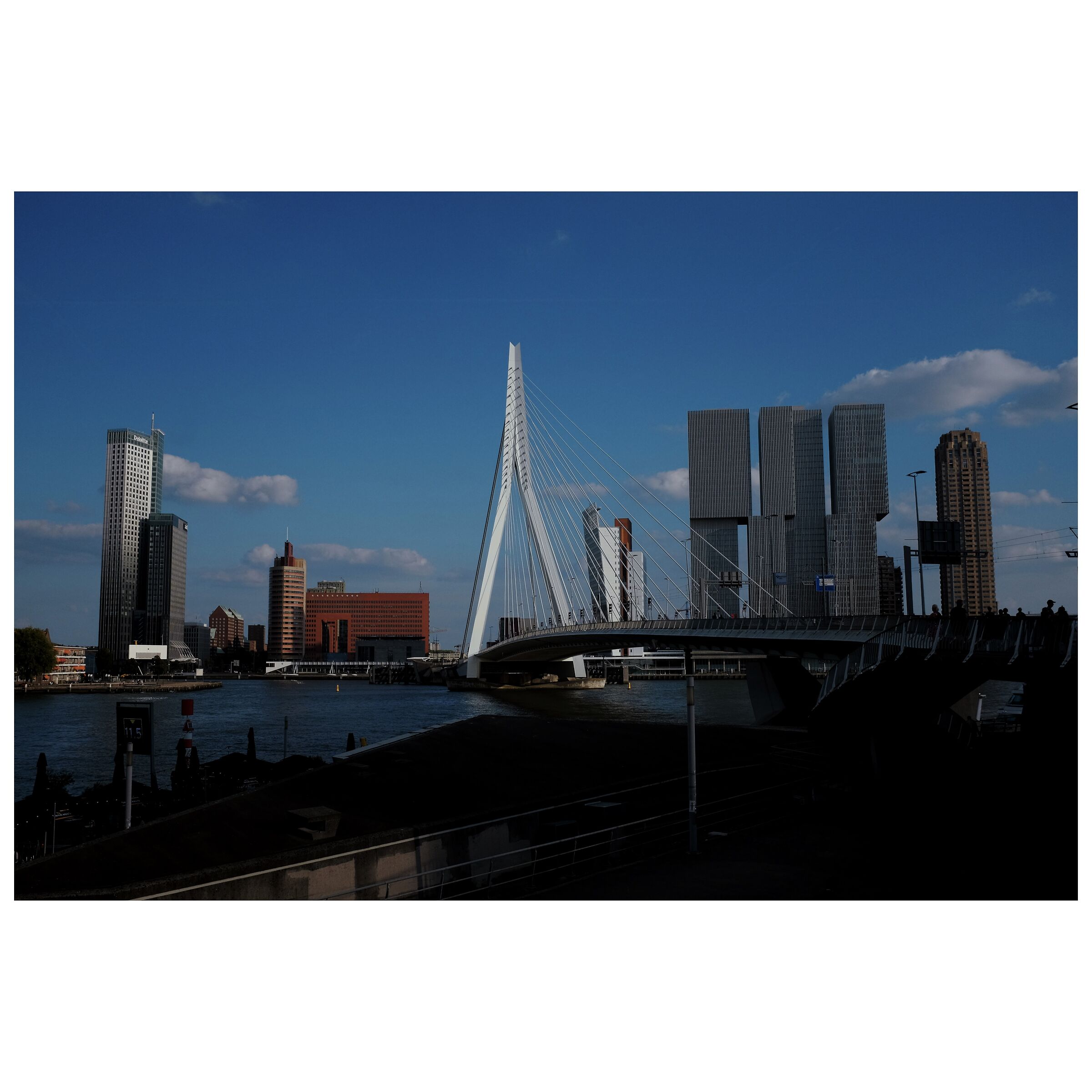 Rotterdam's Skyline...