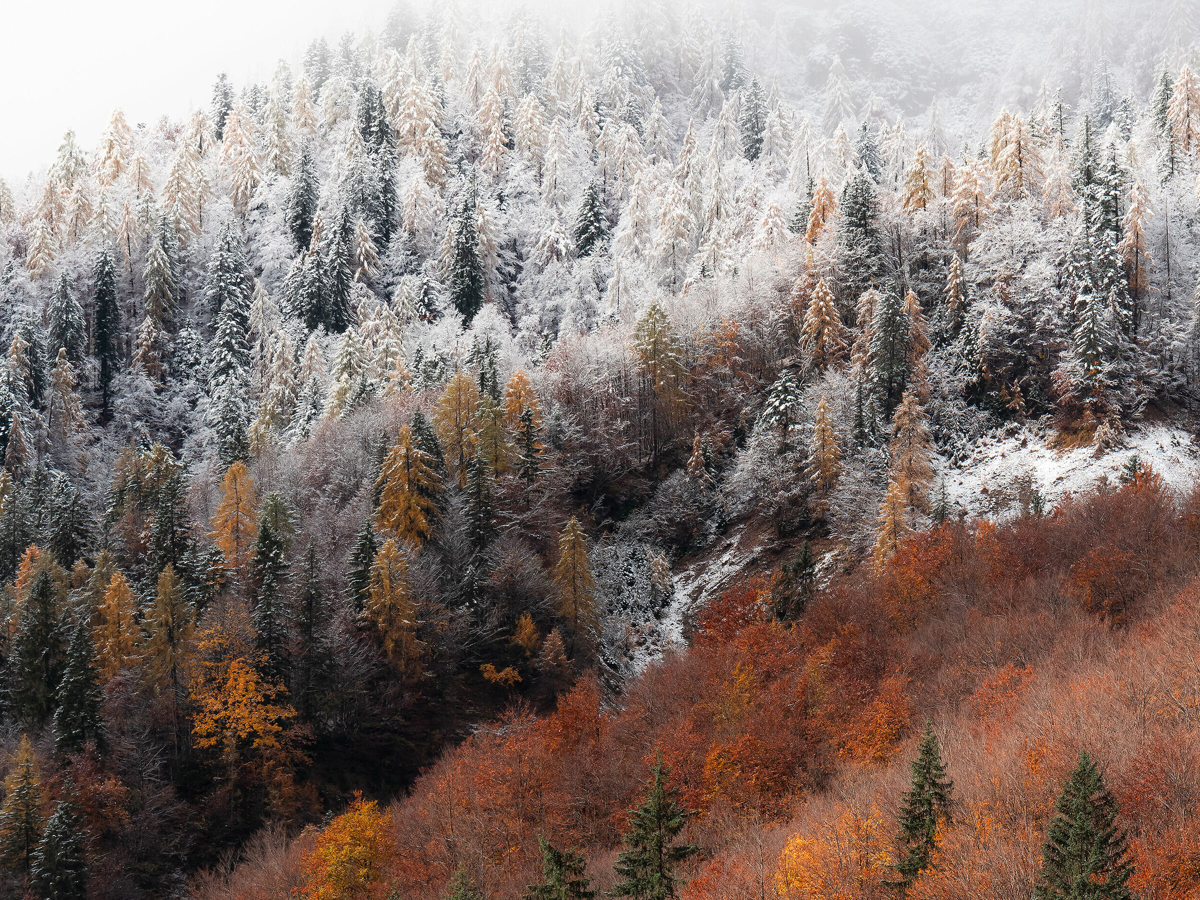 Sfumando verso l'inverno - Alpi Giulie...