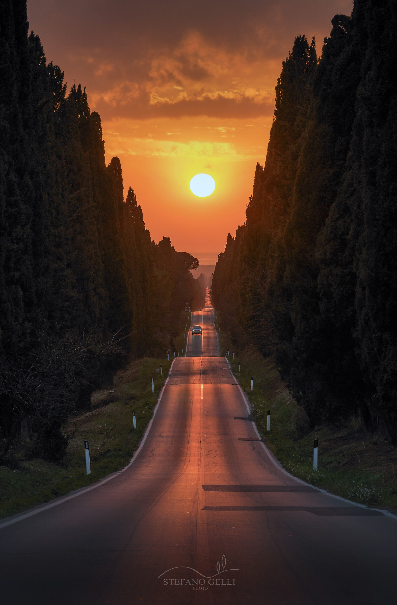 Avenue of Cypresses...