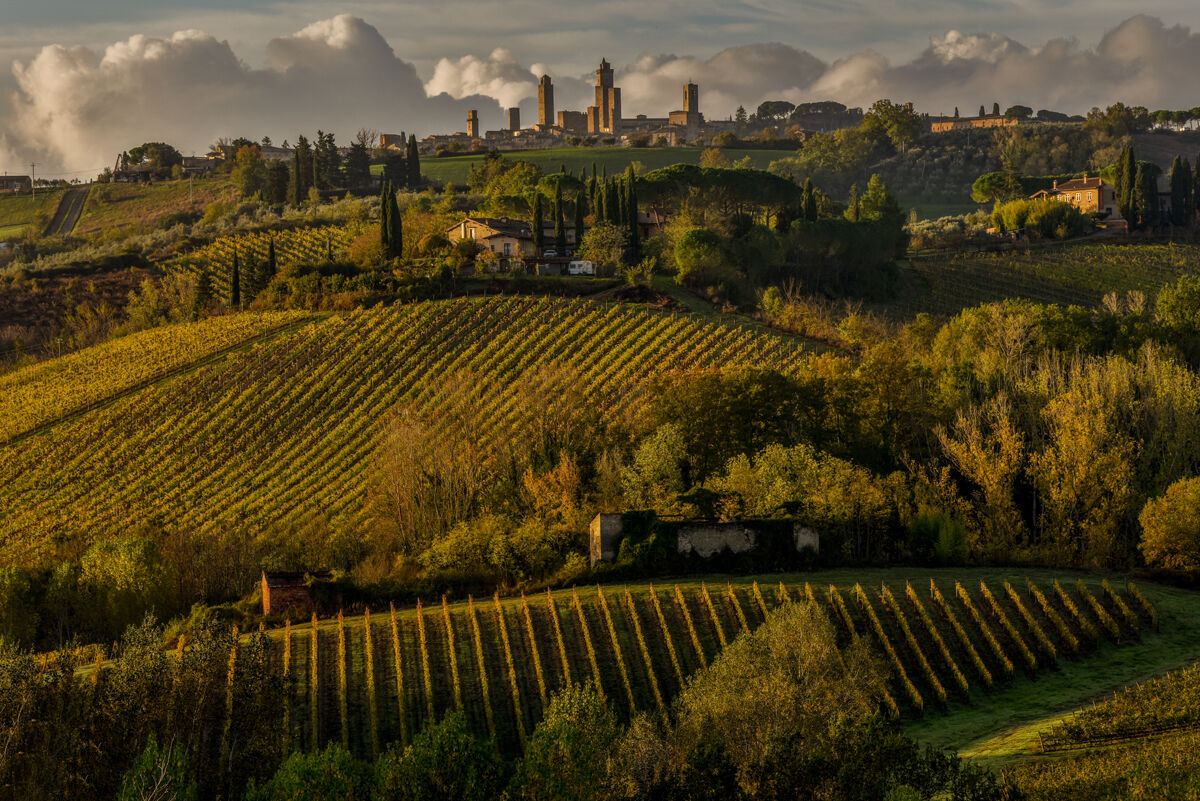 classic Tuscan......