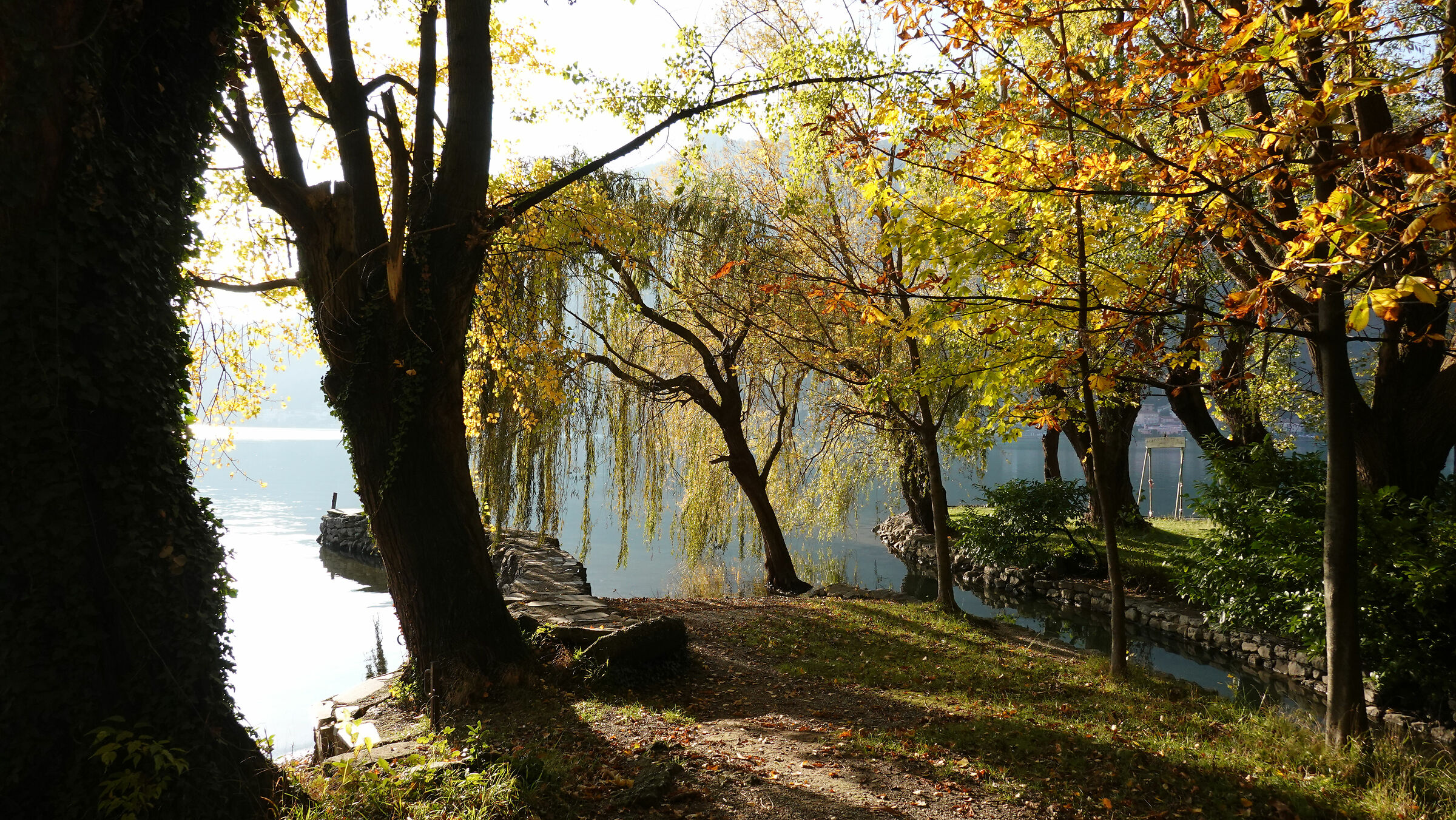 Colori d'autunno lungo il lago di Garlate 2...