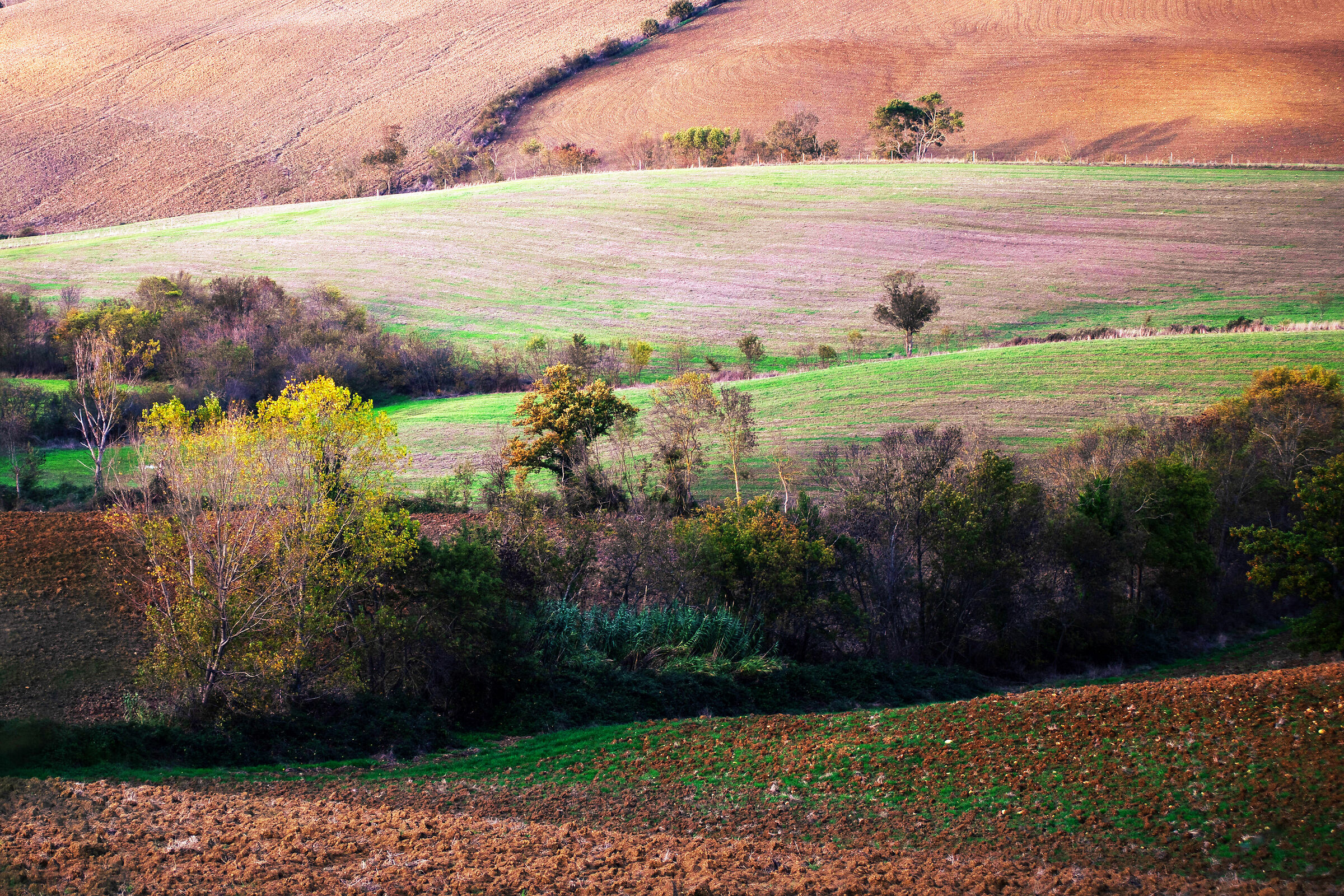 Campagna Toscana 1...