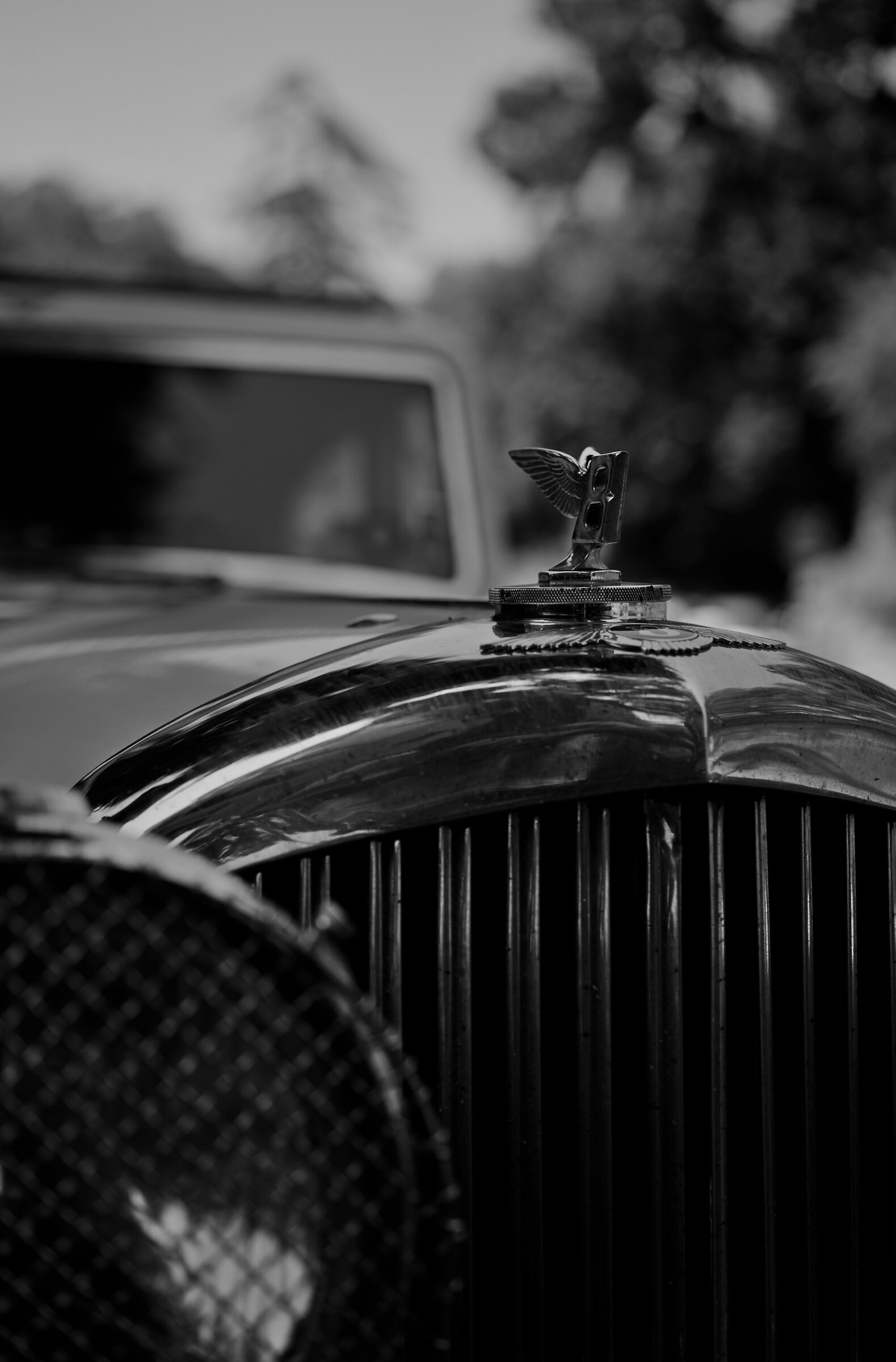 The charm of the Bugatti - 02...