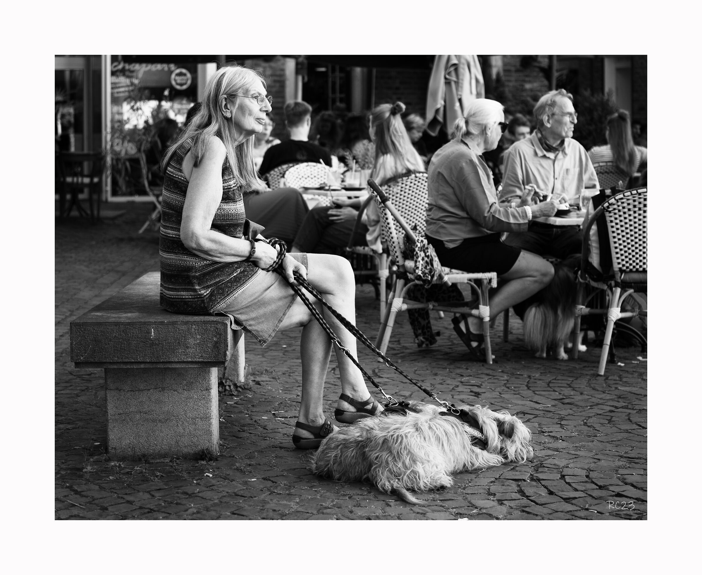 Lady with dog...