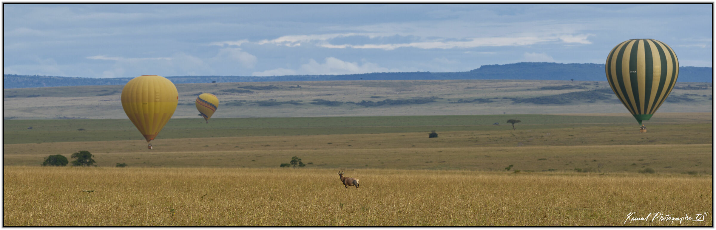 Masai Mara...