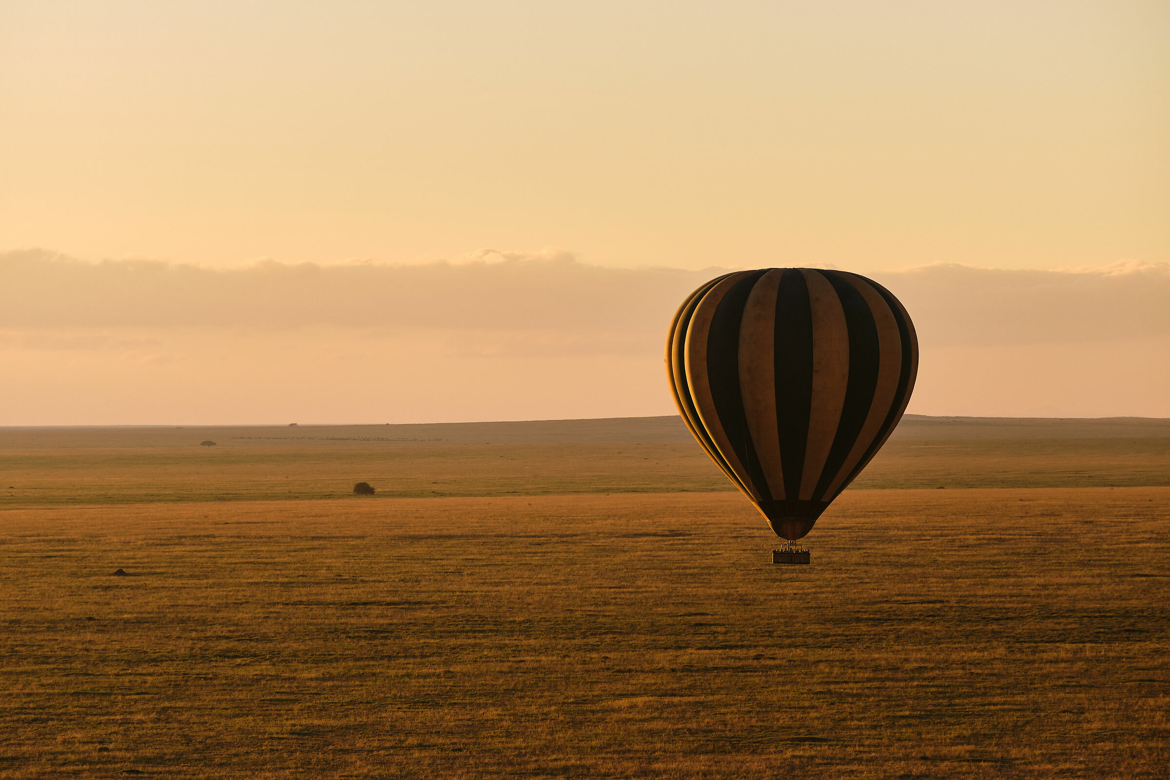 Above an expanse of golden light...