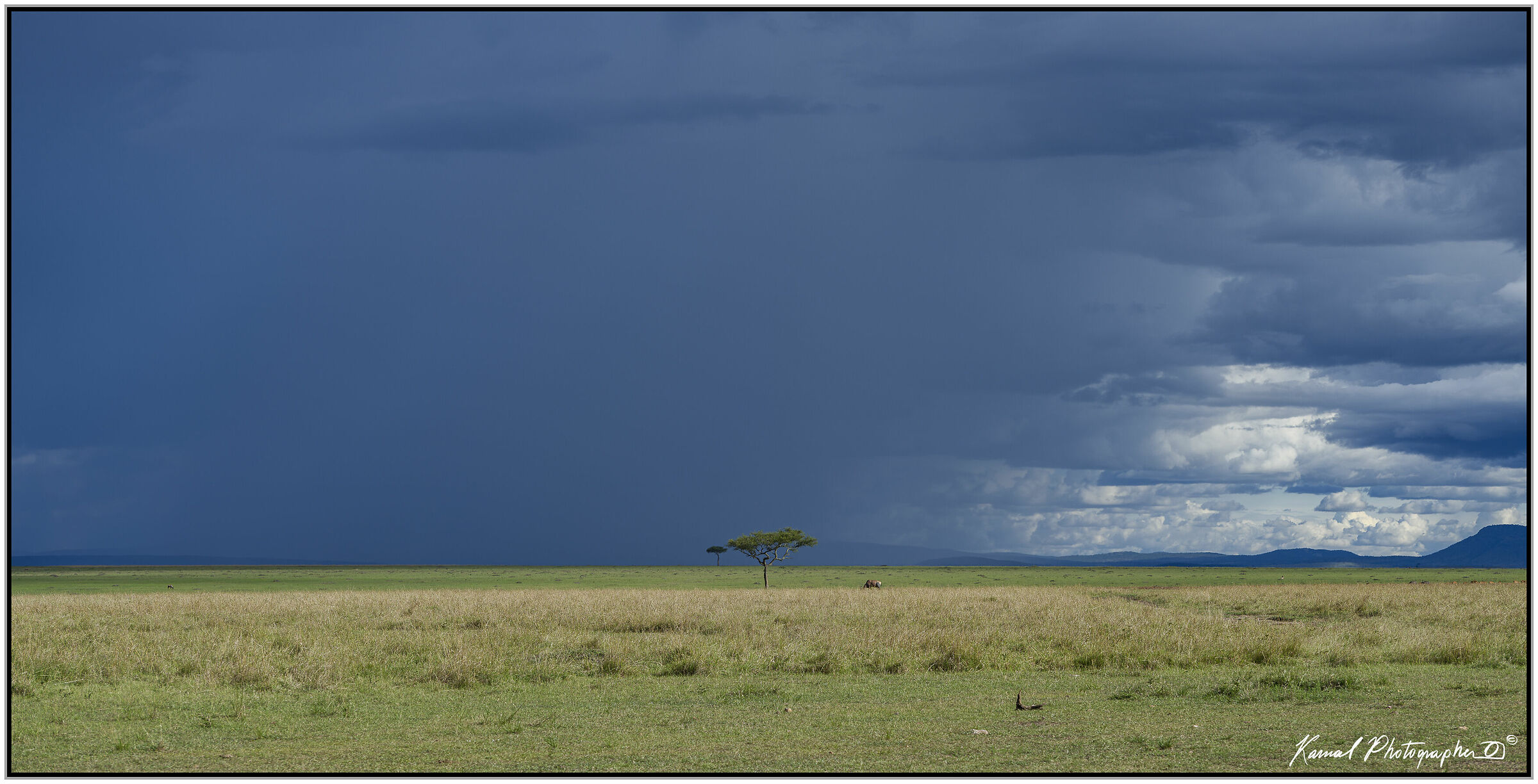 Masai Mara...