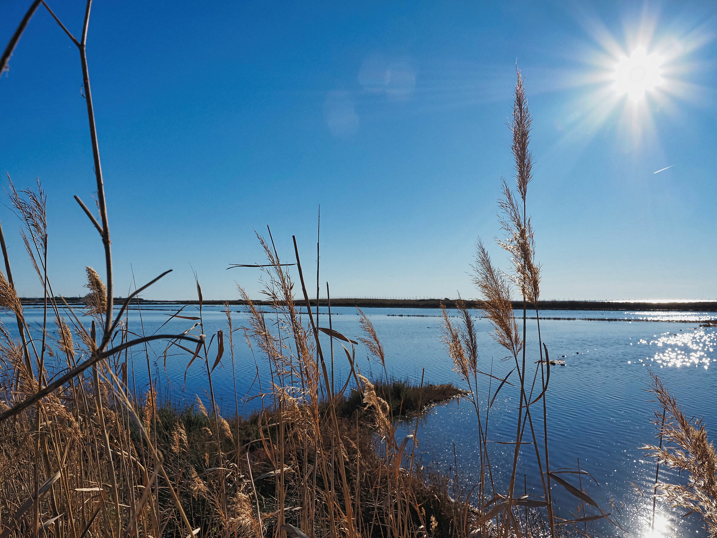Sun at the salt pans...